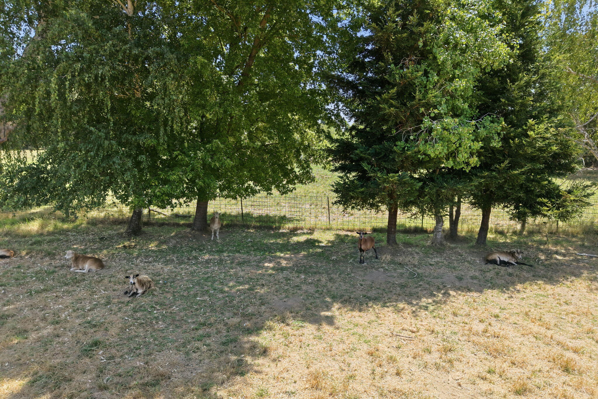 main property photo 52