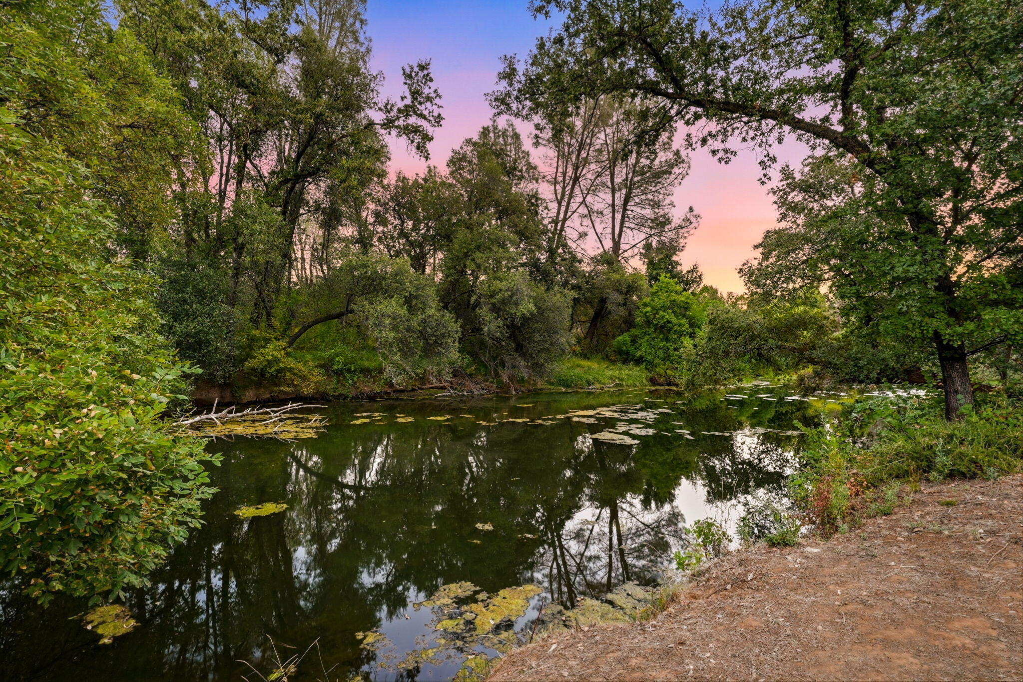 main property photo 33