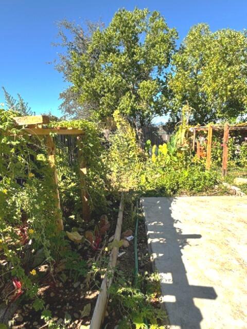 main property photo 19