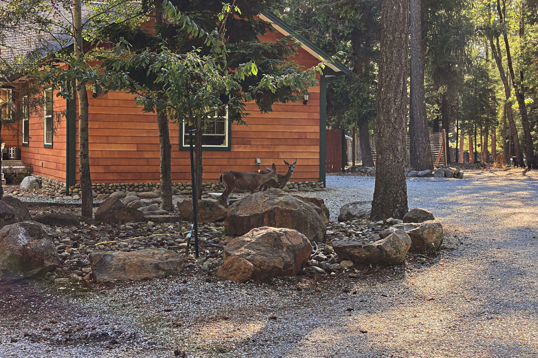 main property photo 59