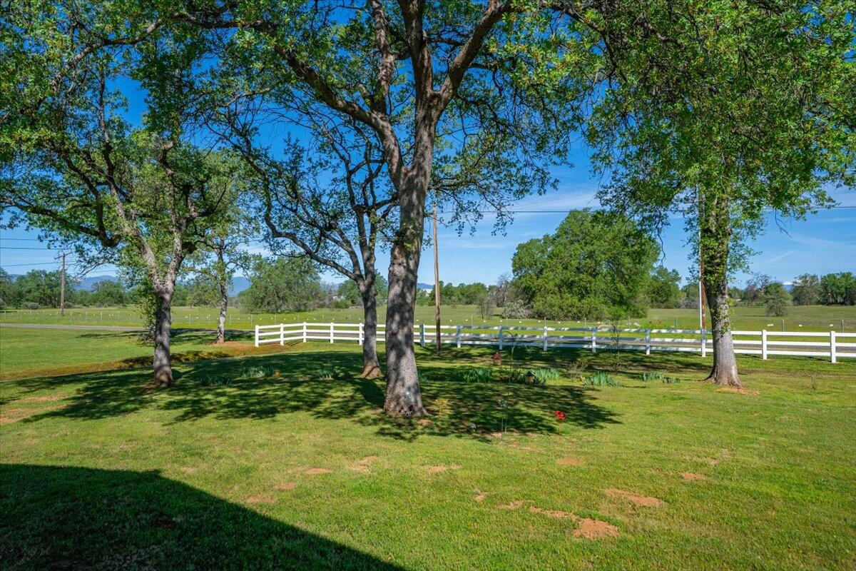 main property photo 59
