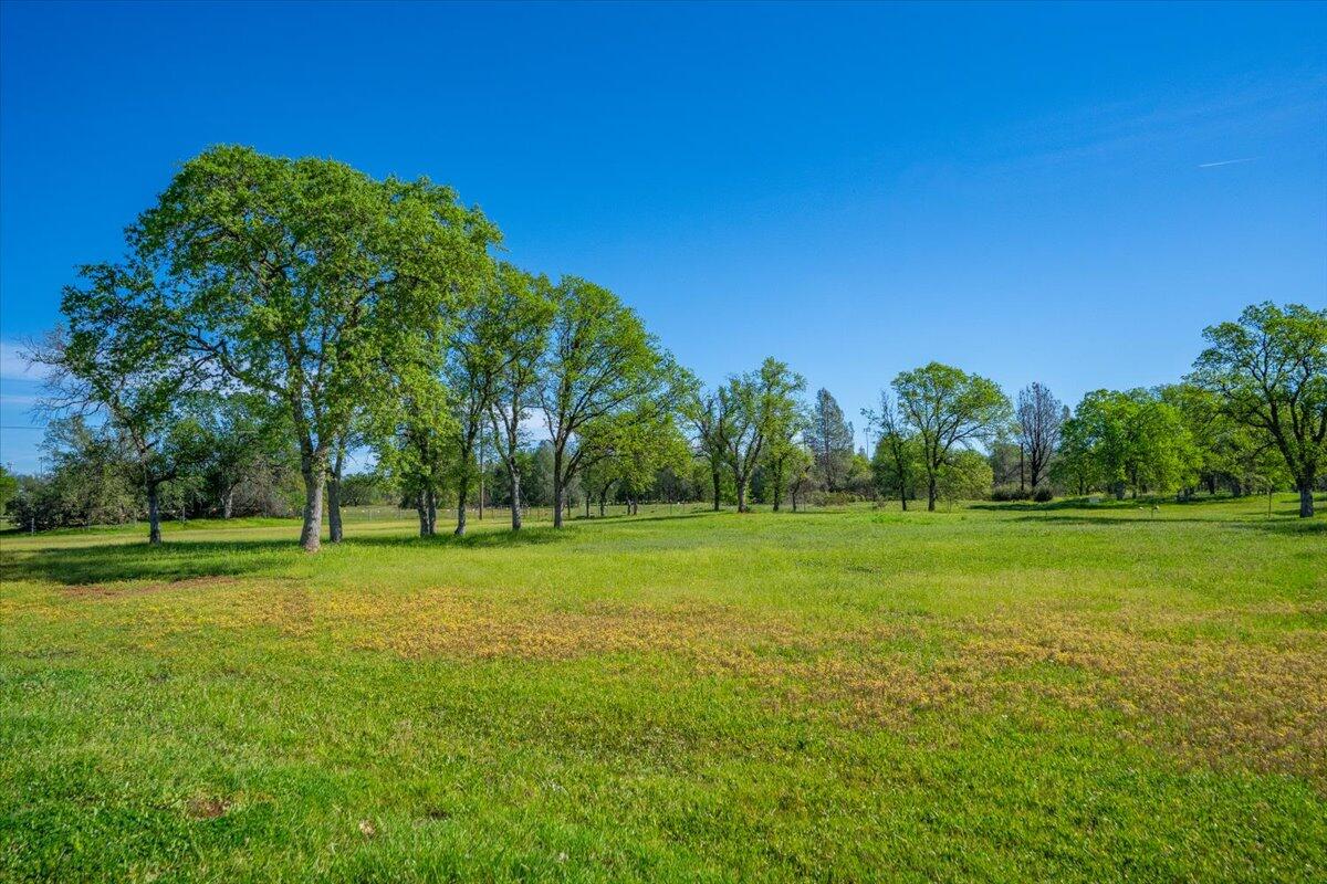 main property photo 65