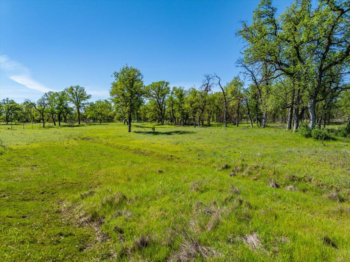main property photo 85