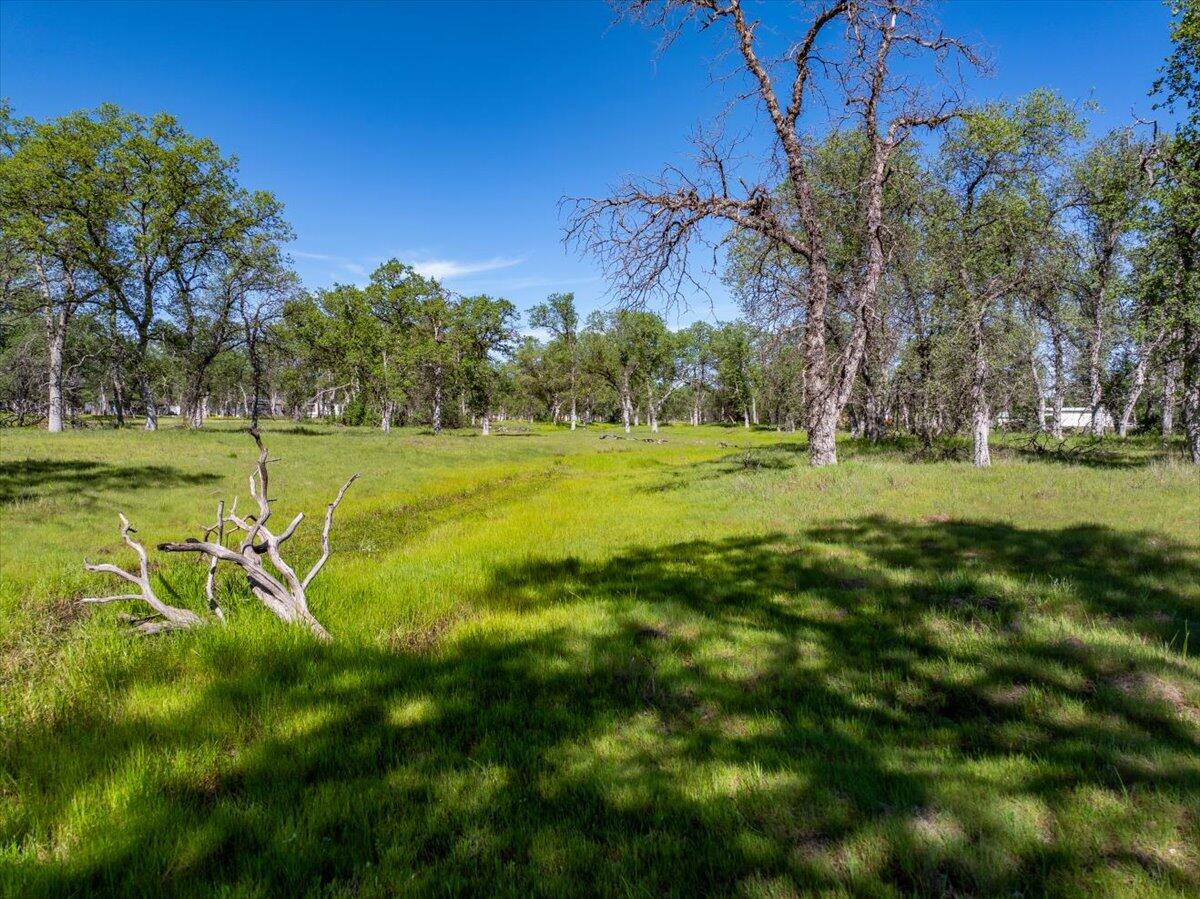 main property photo 86