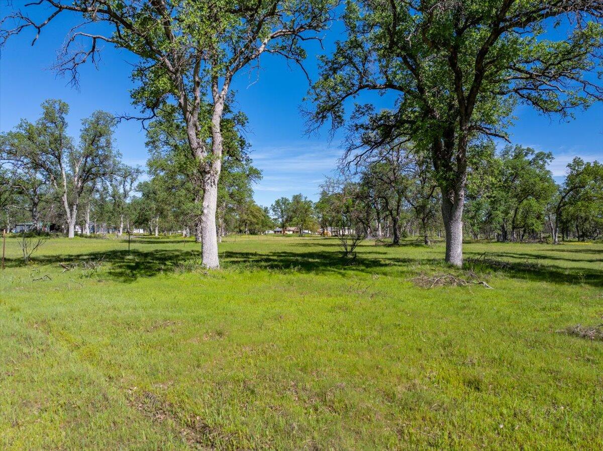main property photo 87