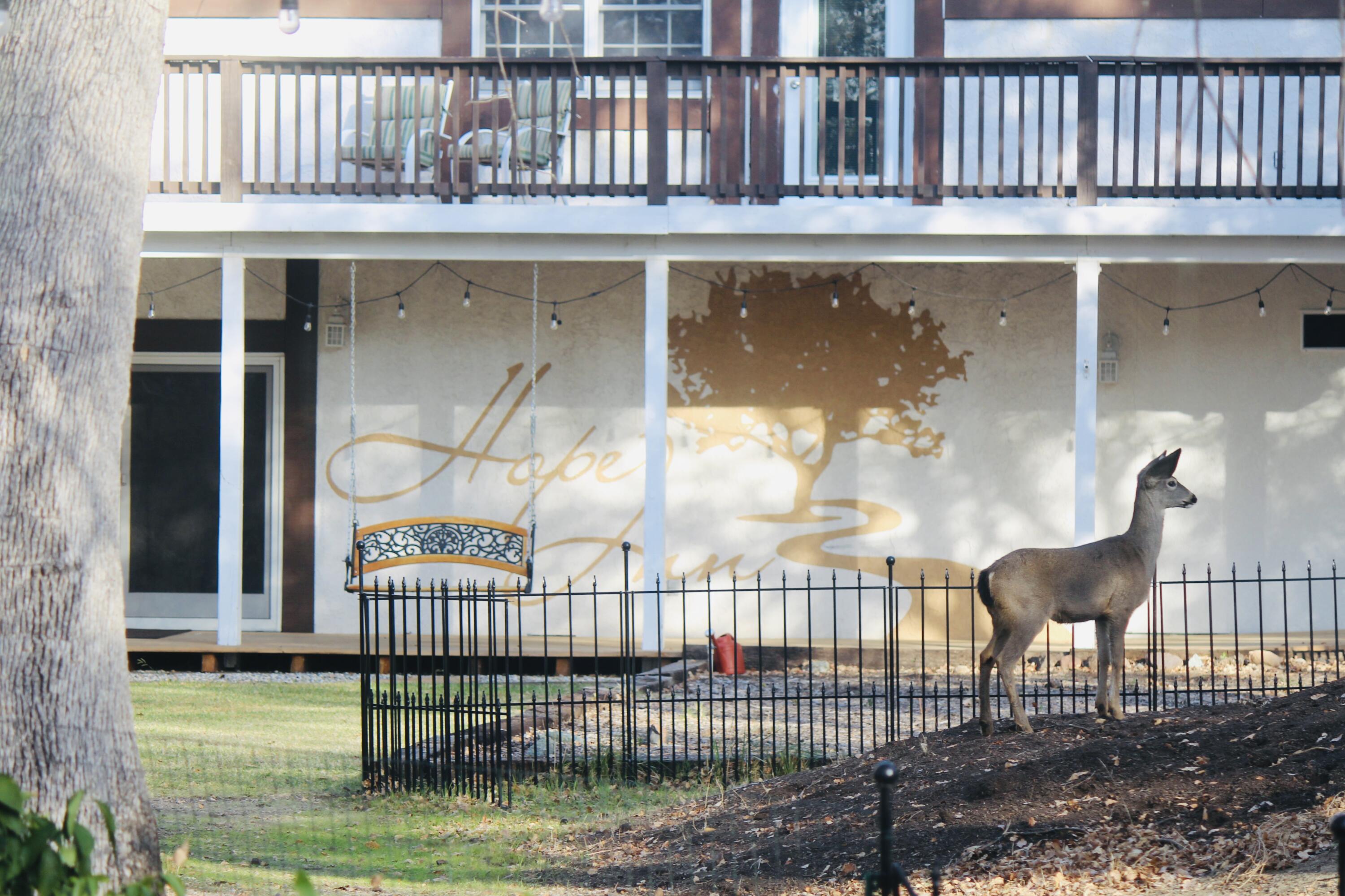main property photo 97