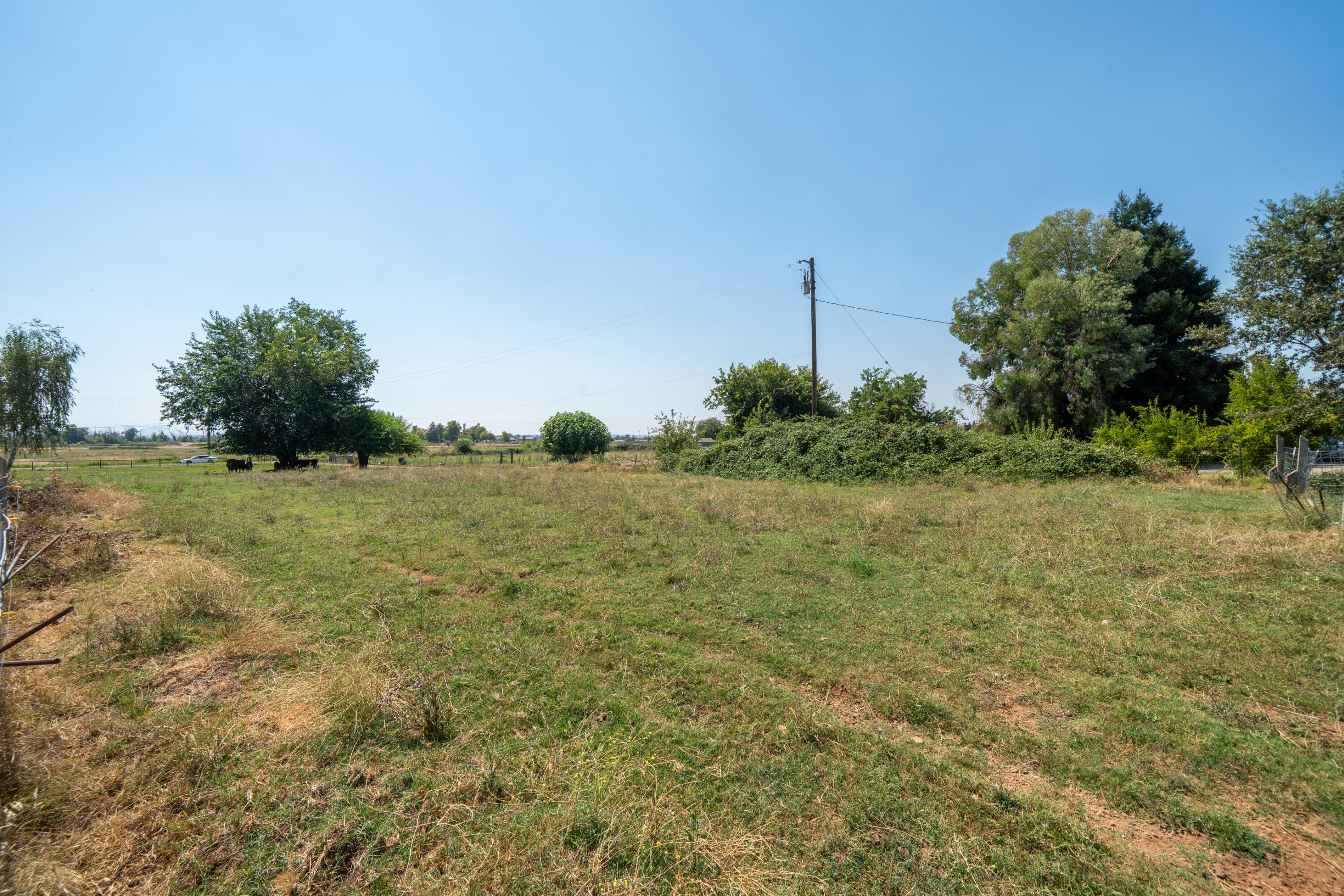 main property photo 69