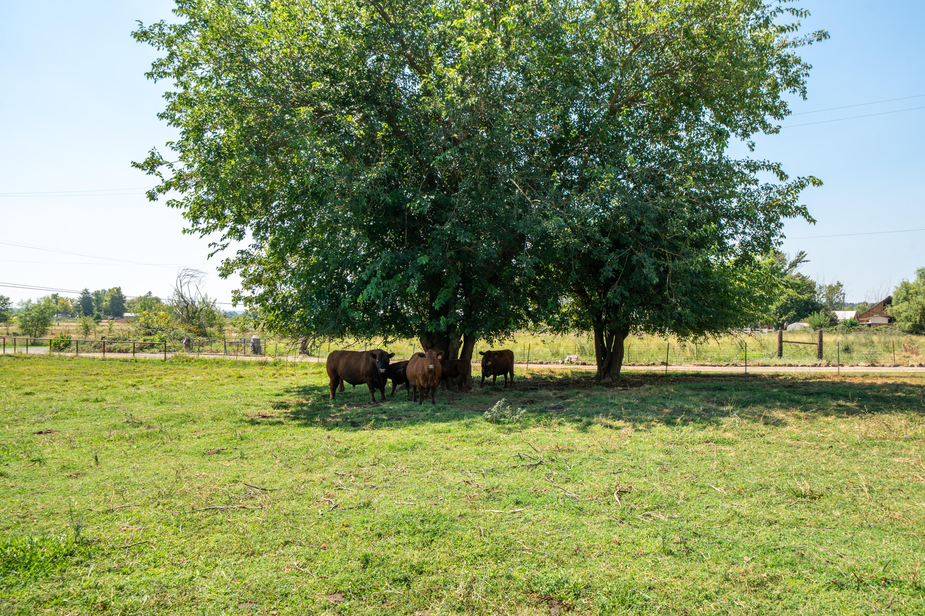 main property photo 72