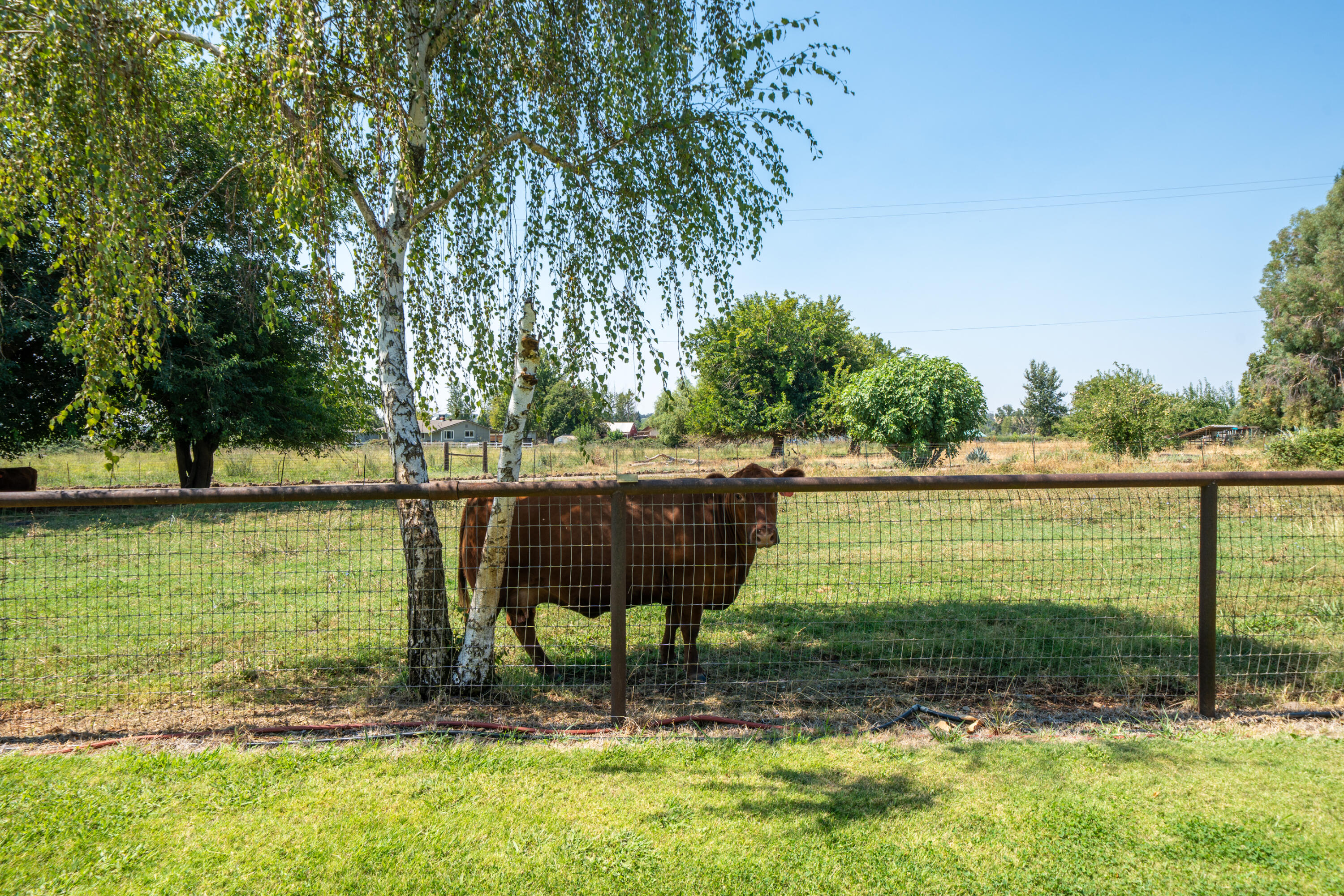 main property photo 73