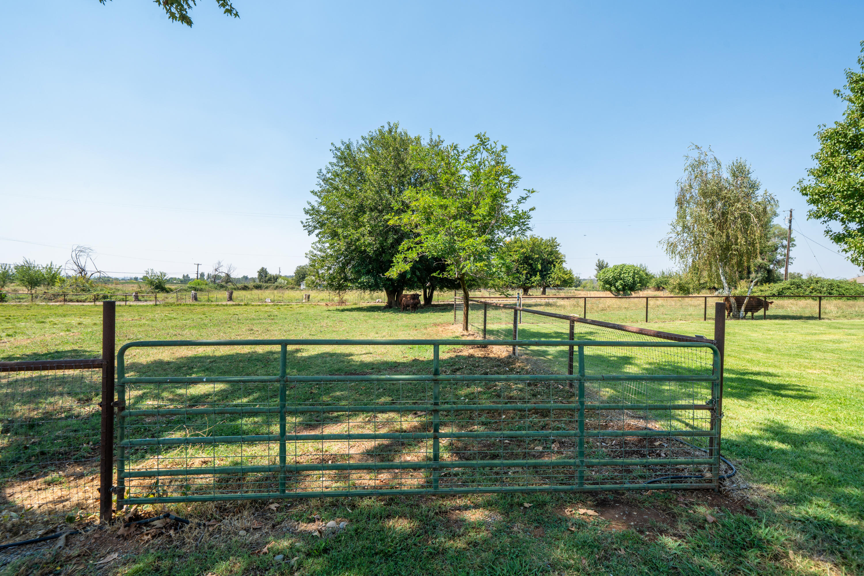 main property photo 74
