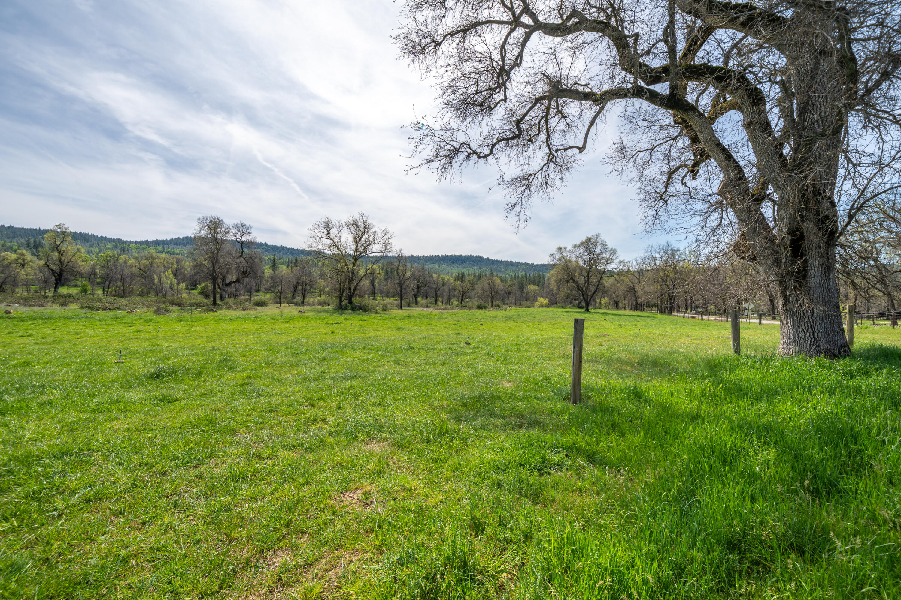 main property photo 120