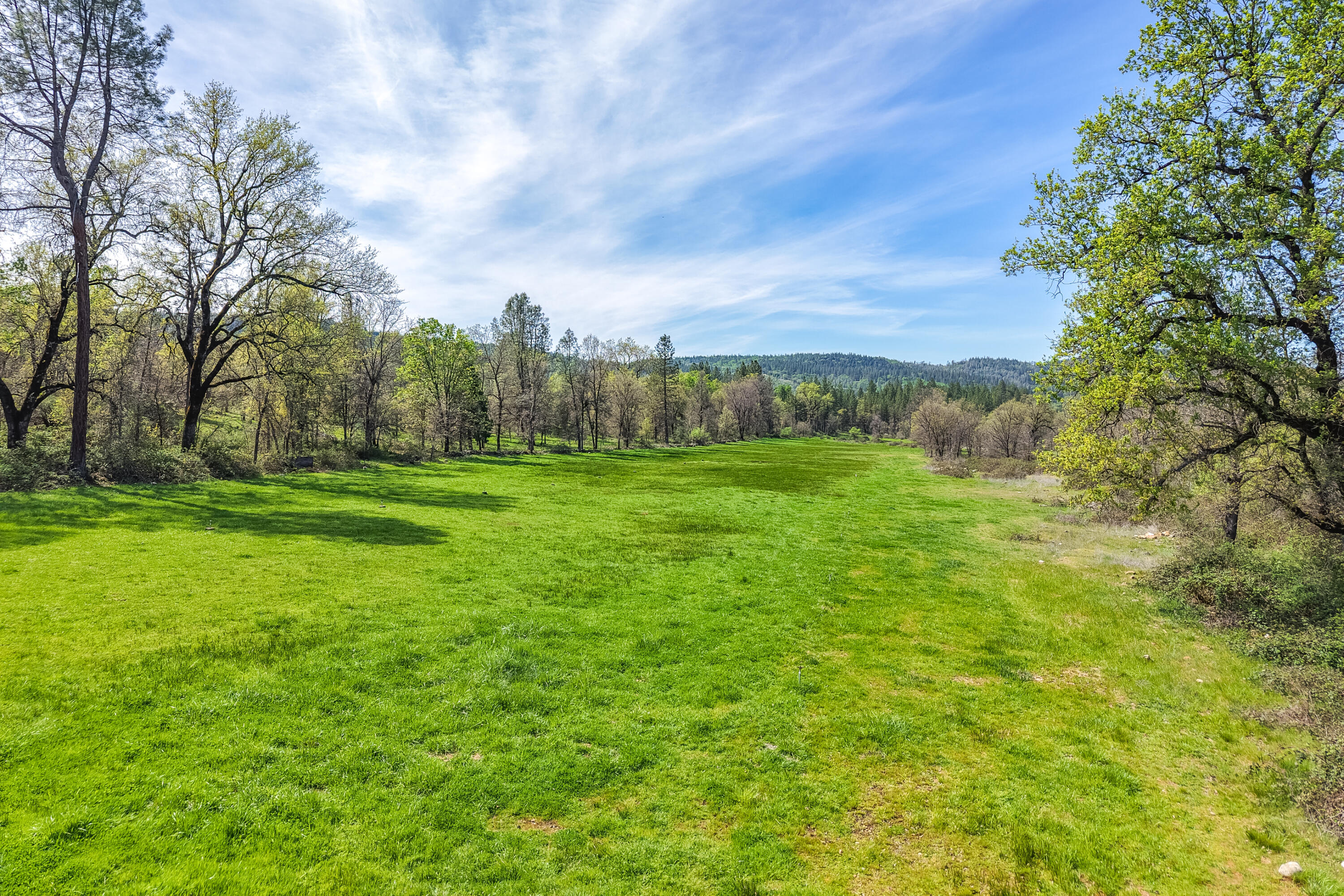 main property photo 173
