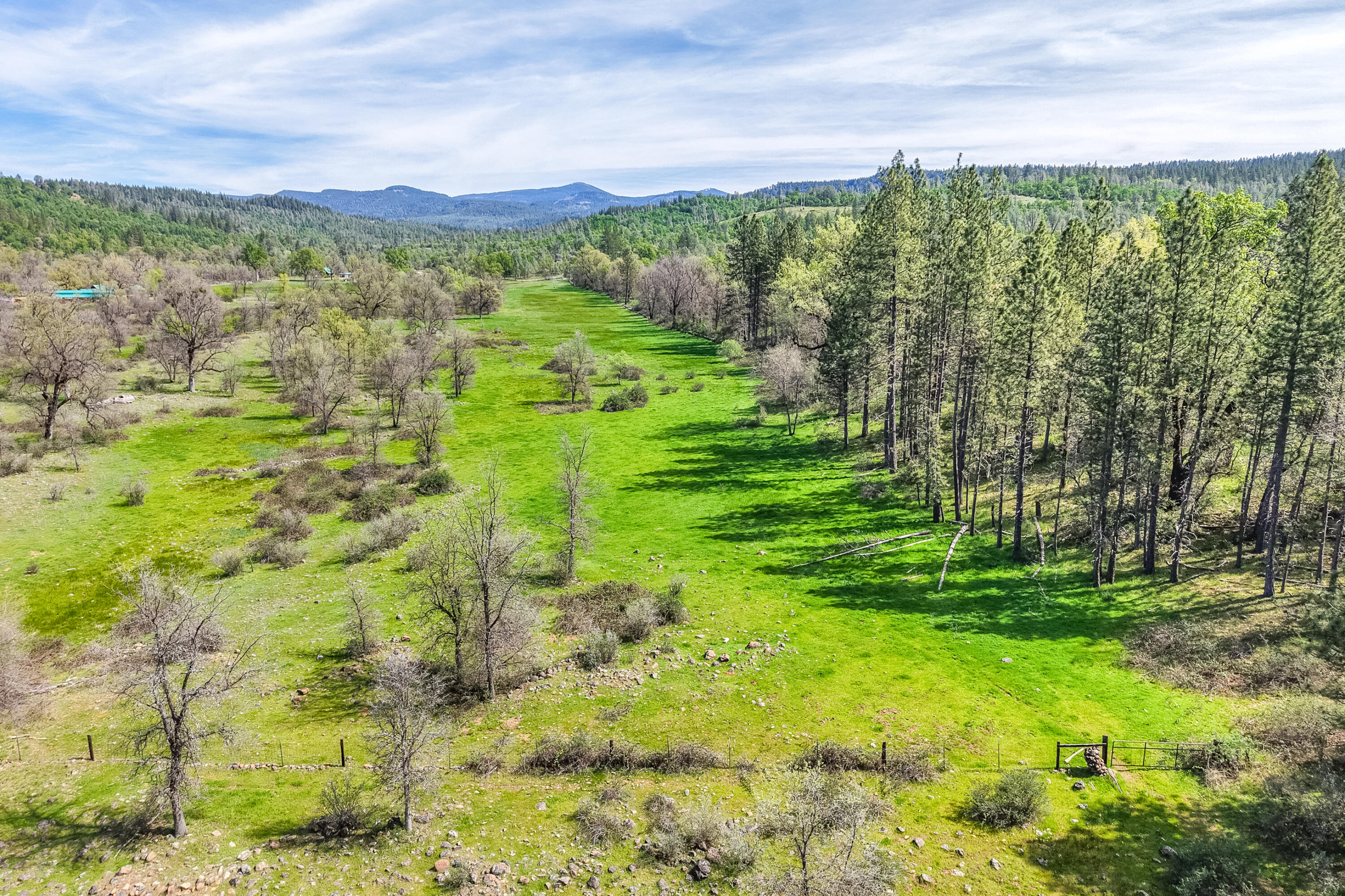 main property photo 175