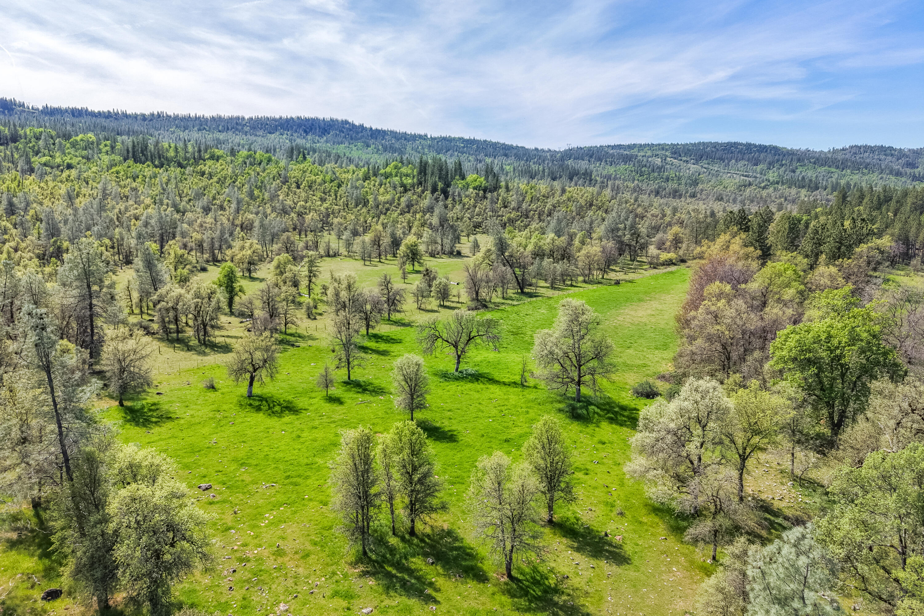 main property photo 181