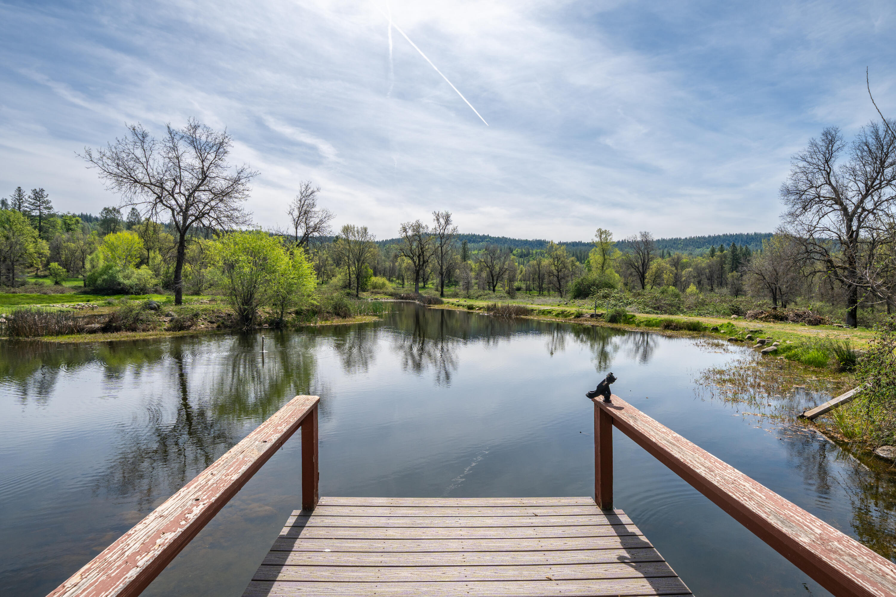 main property photo 66