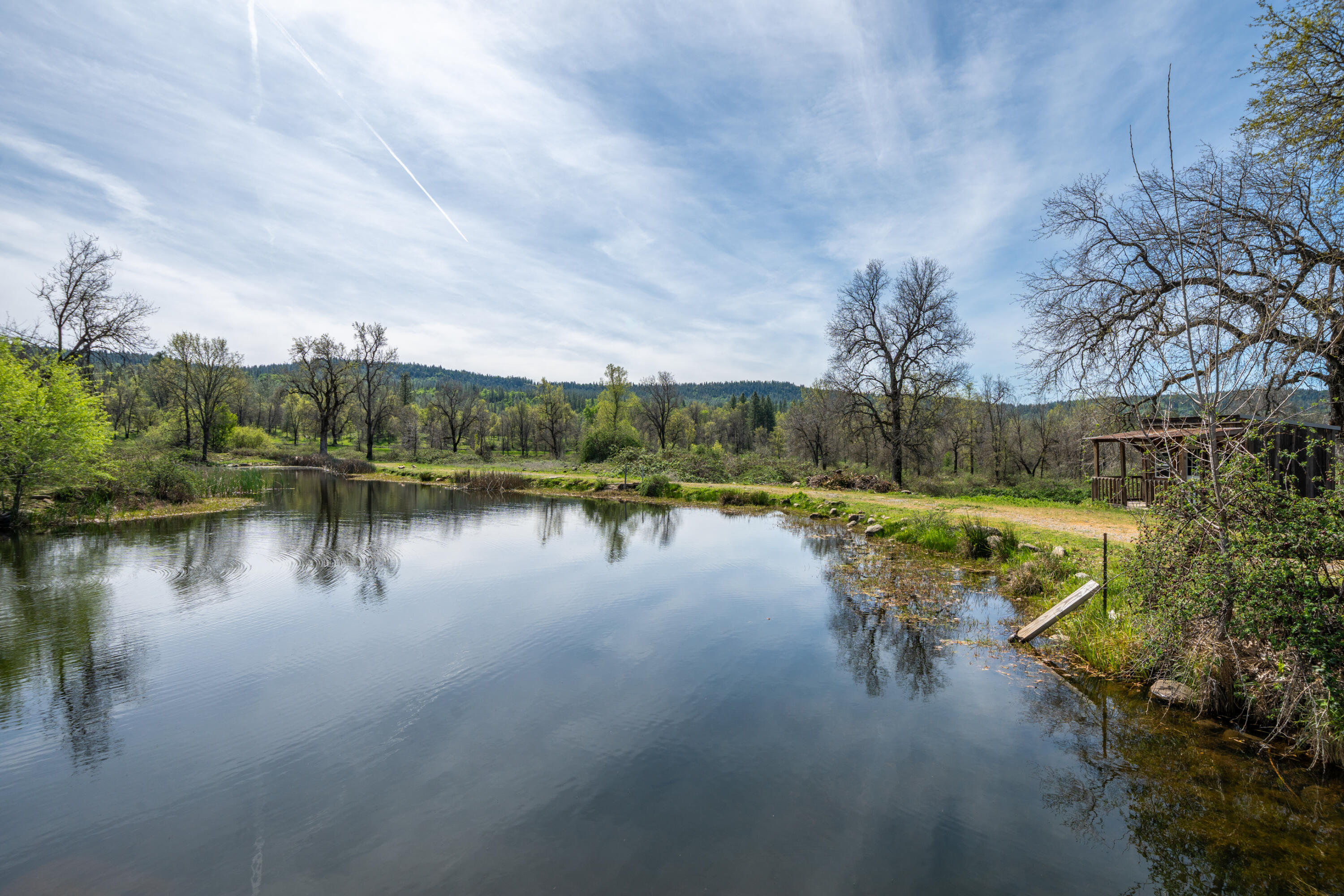 main property photo 67