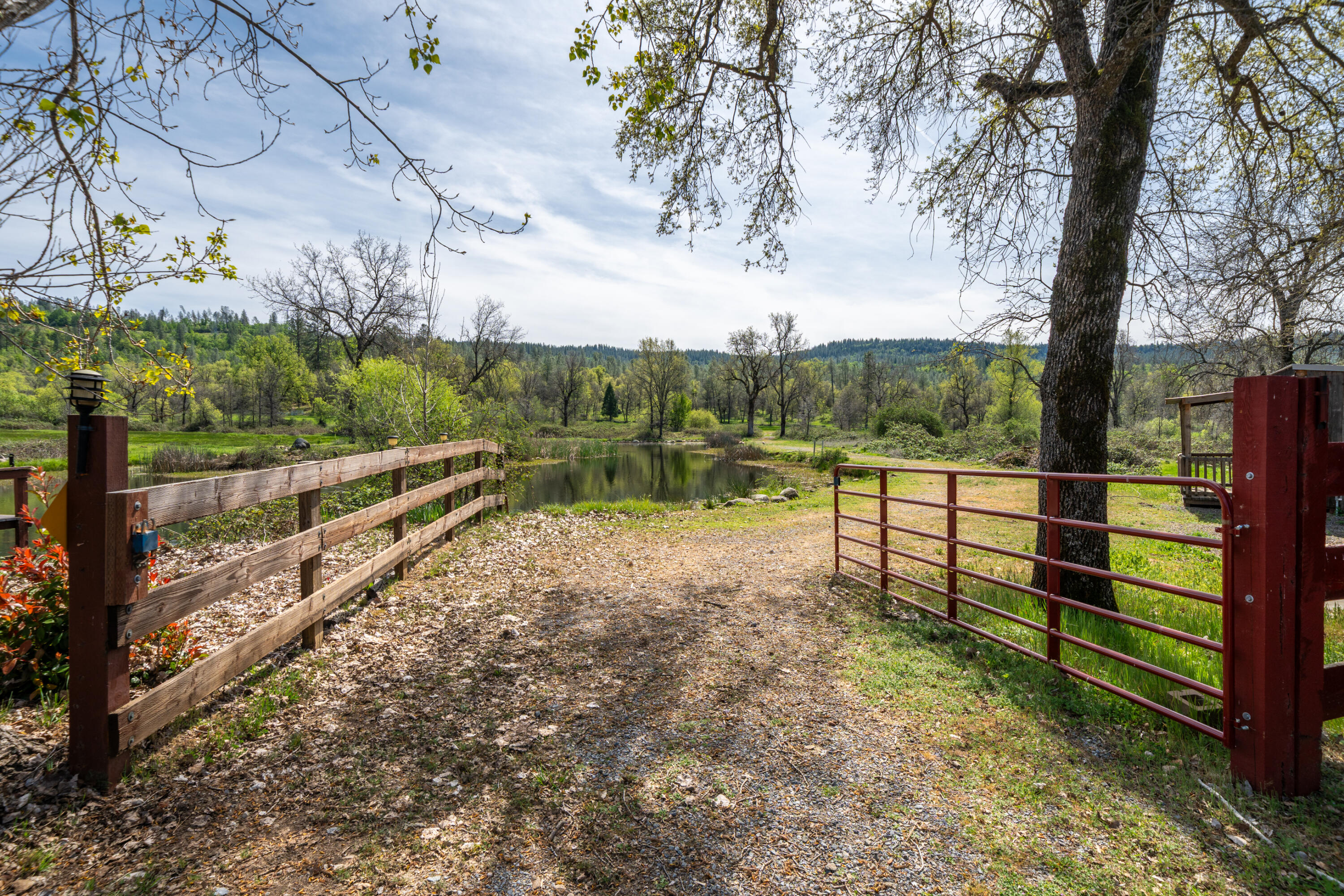 main property photo 68
