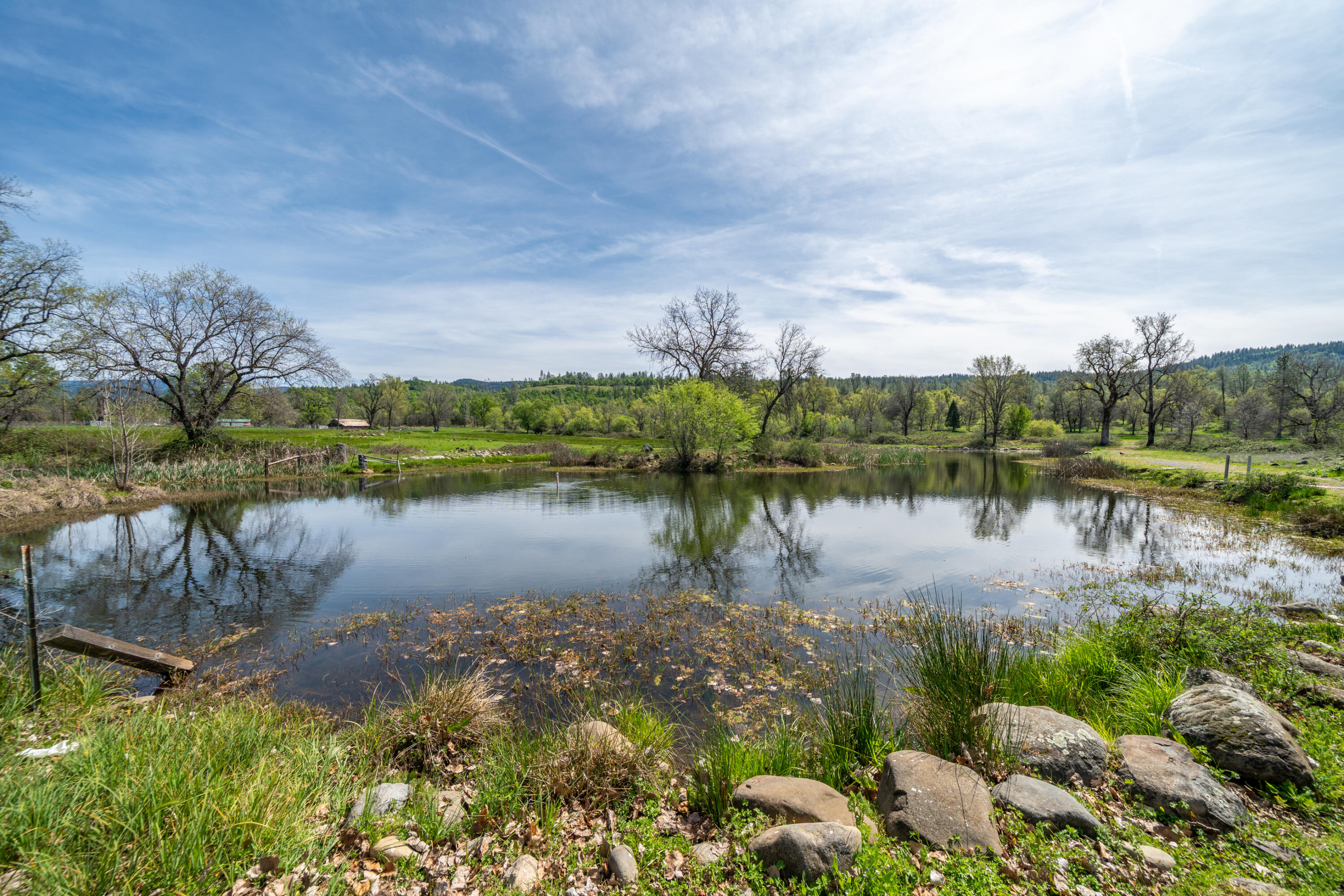 main property photo 70