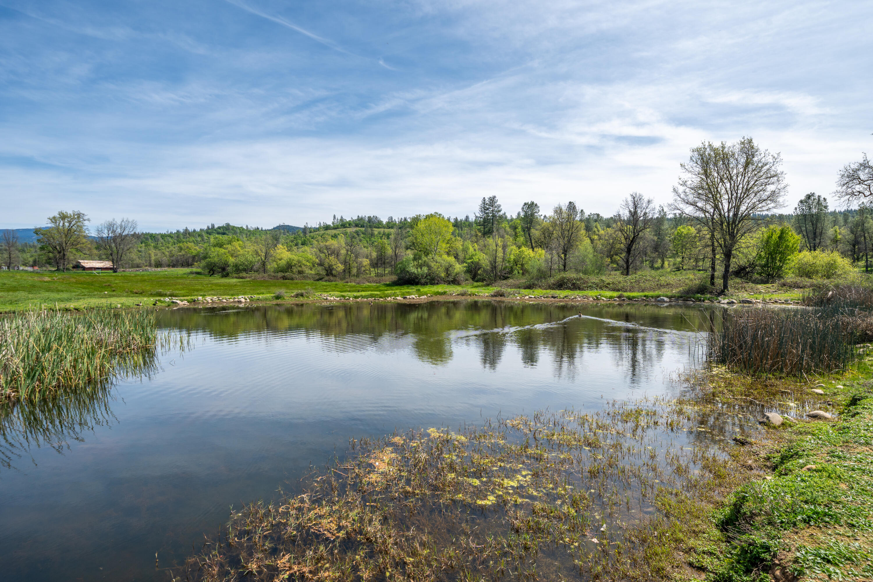 main property photo 77