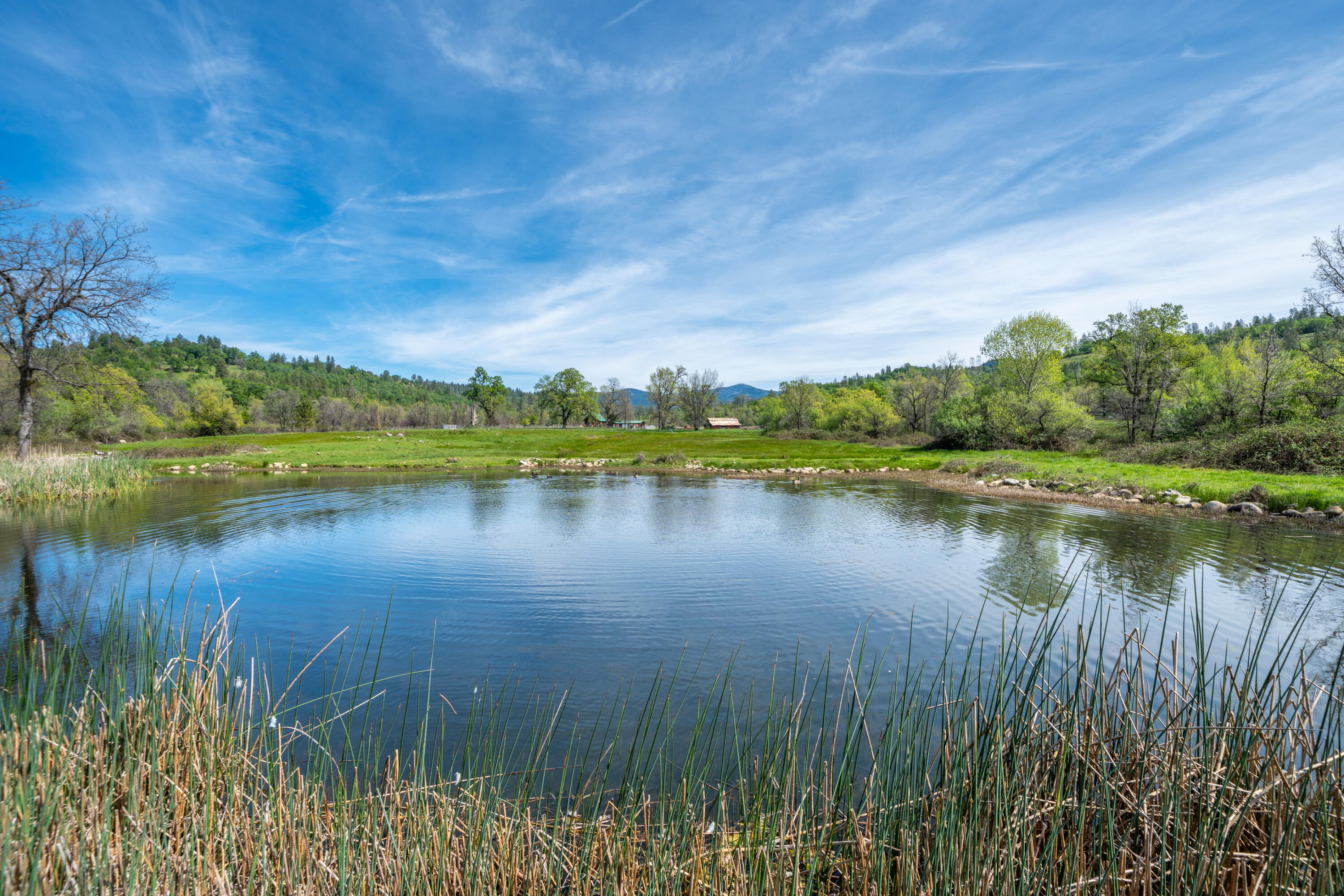 main property photo 78