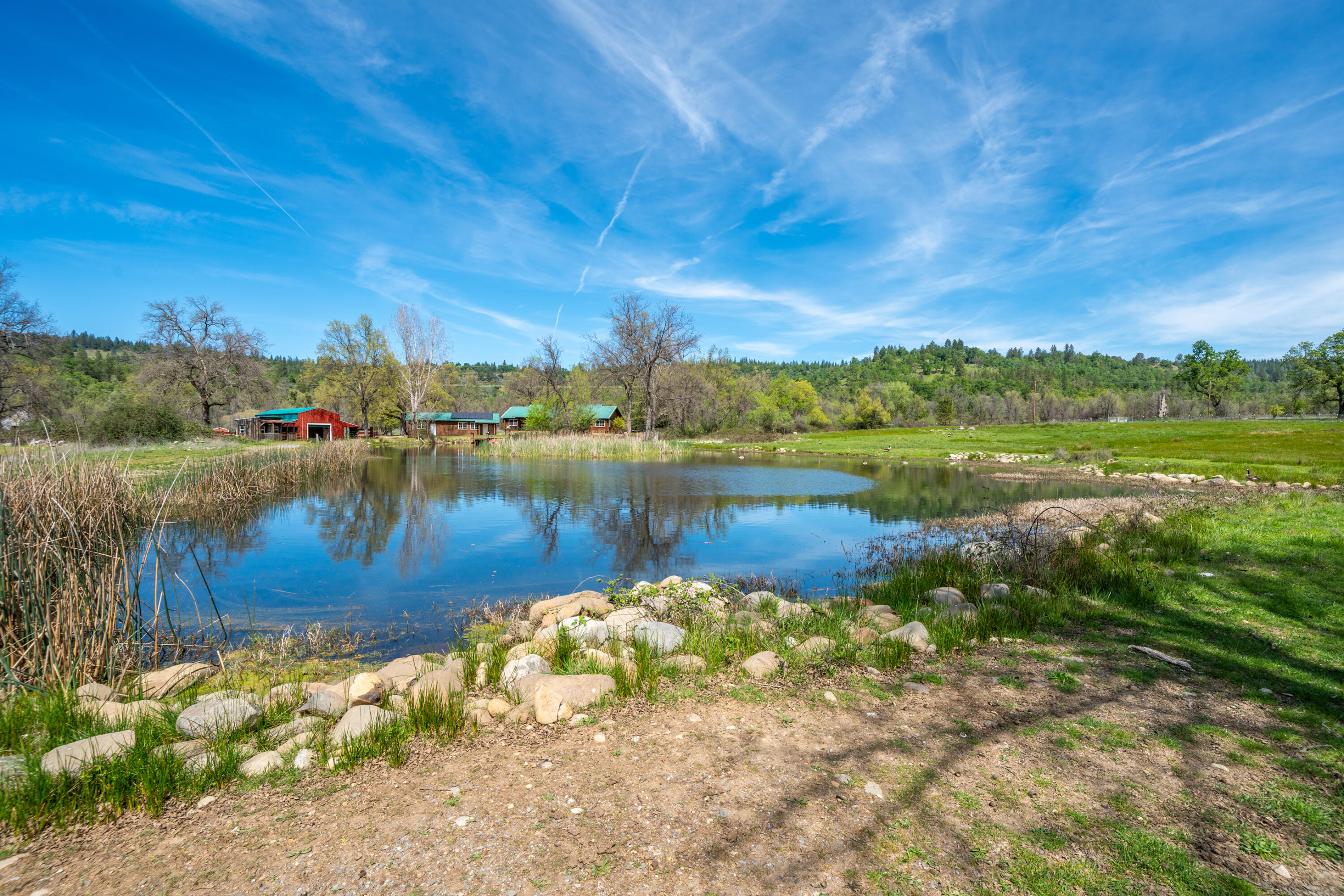 main property photo 81