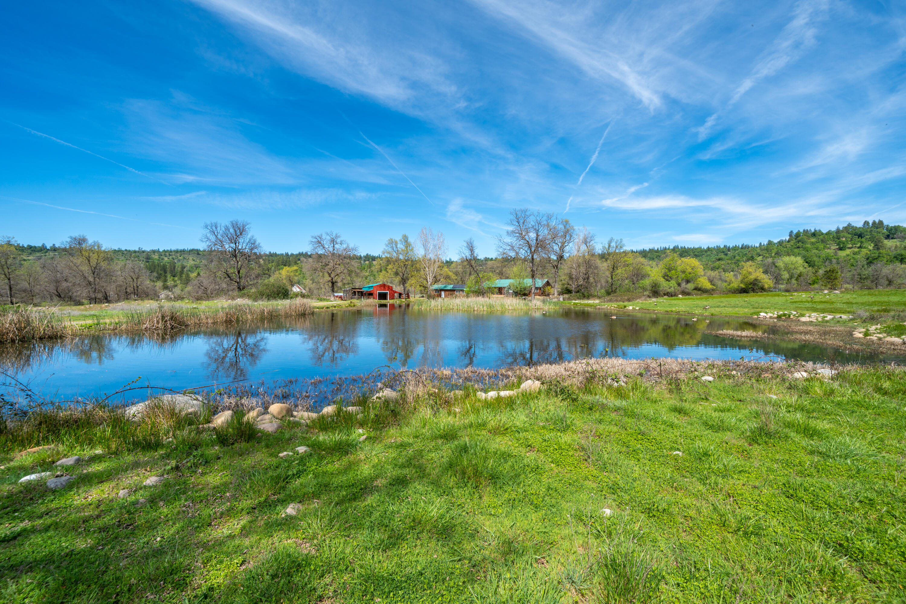 main property photo 82