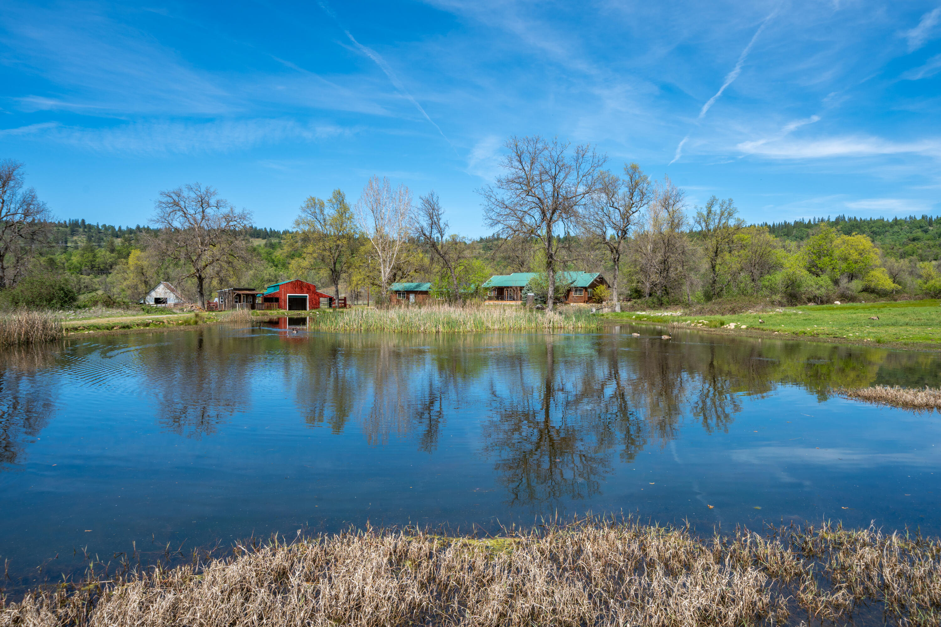 main property photo 84