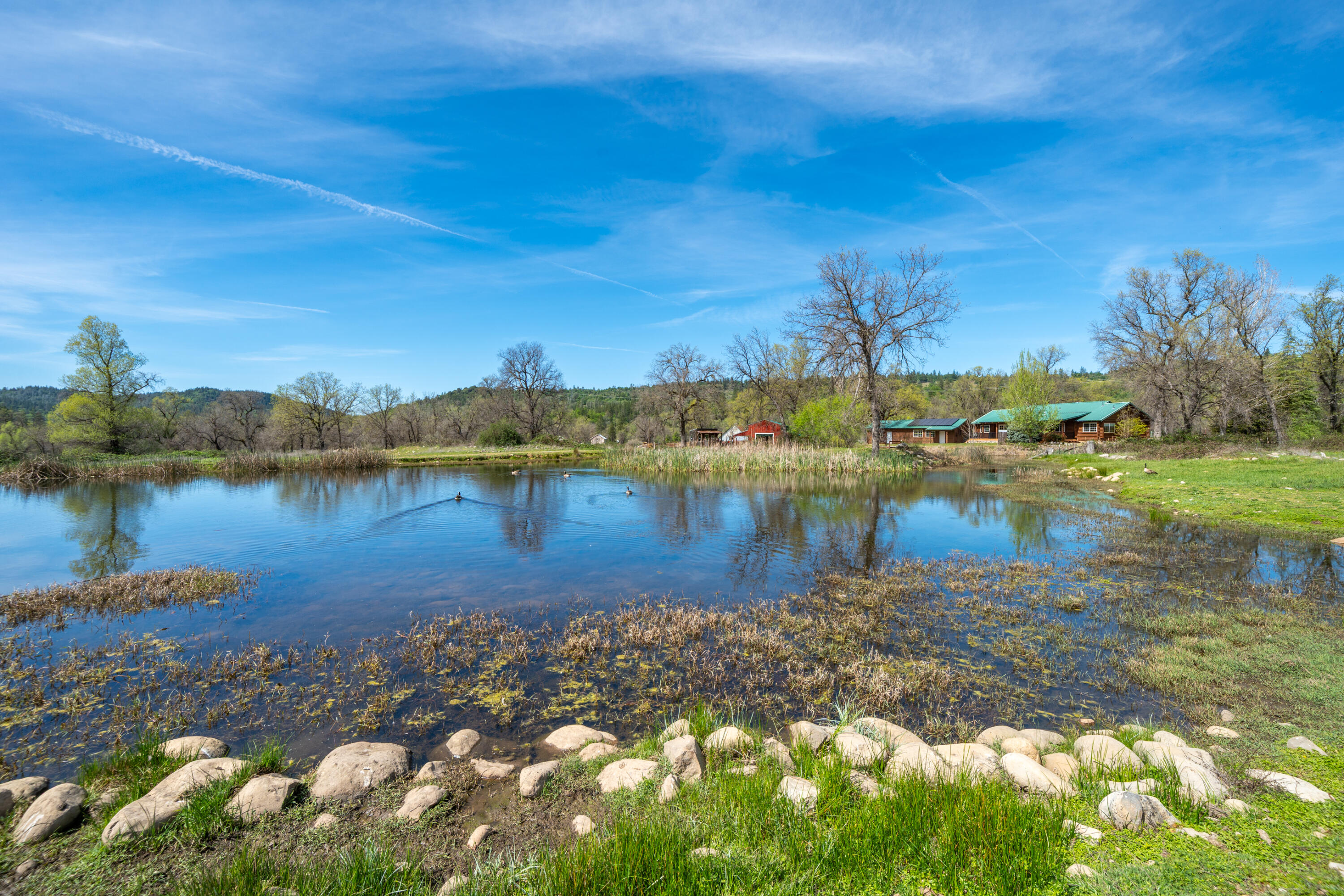 main property photo 85