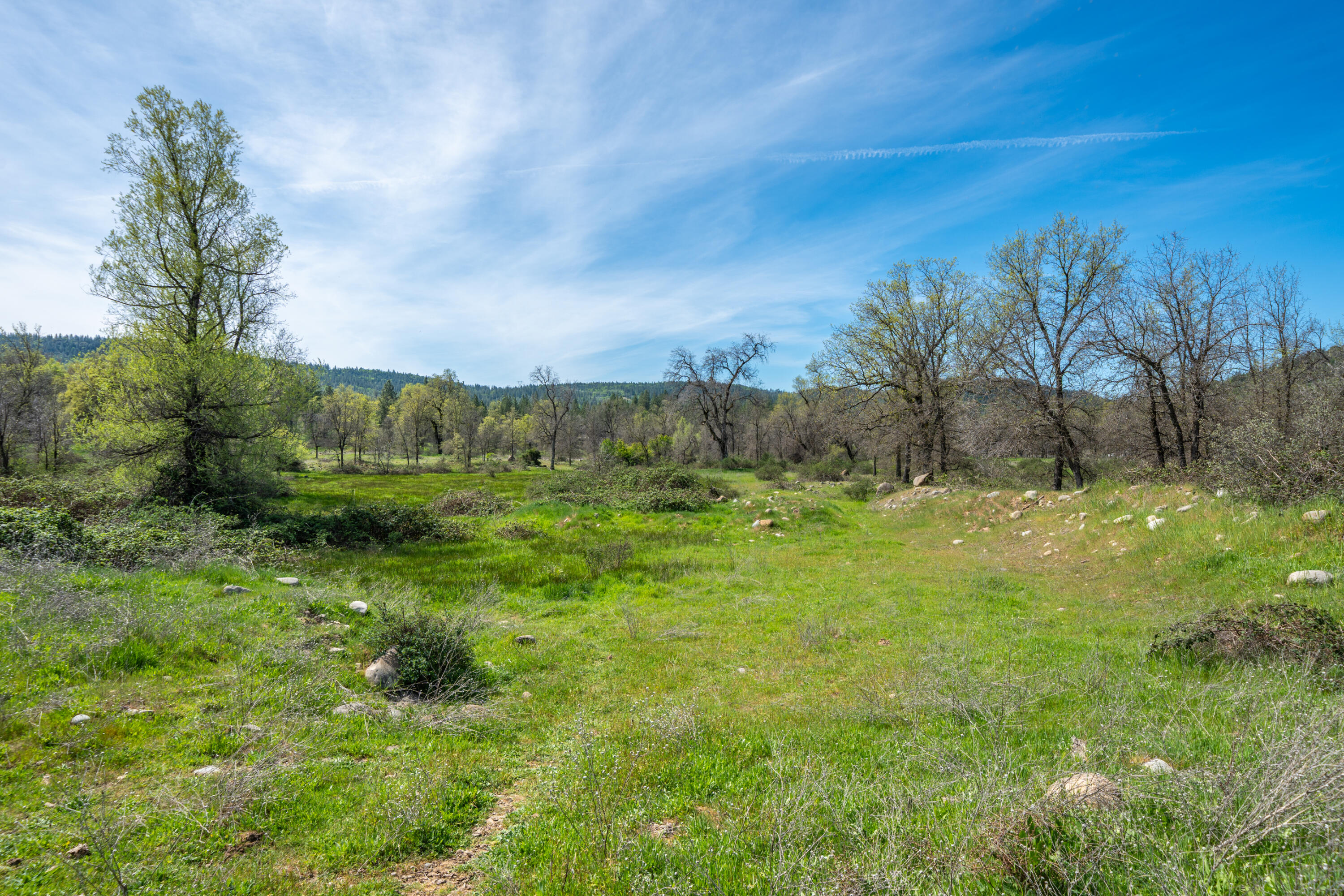 main property photo 87