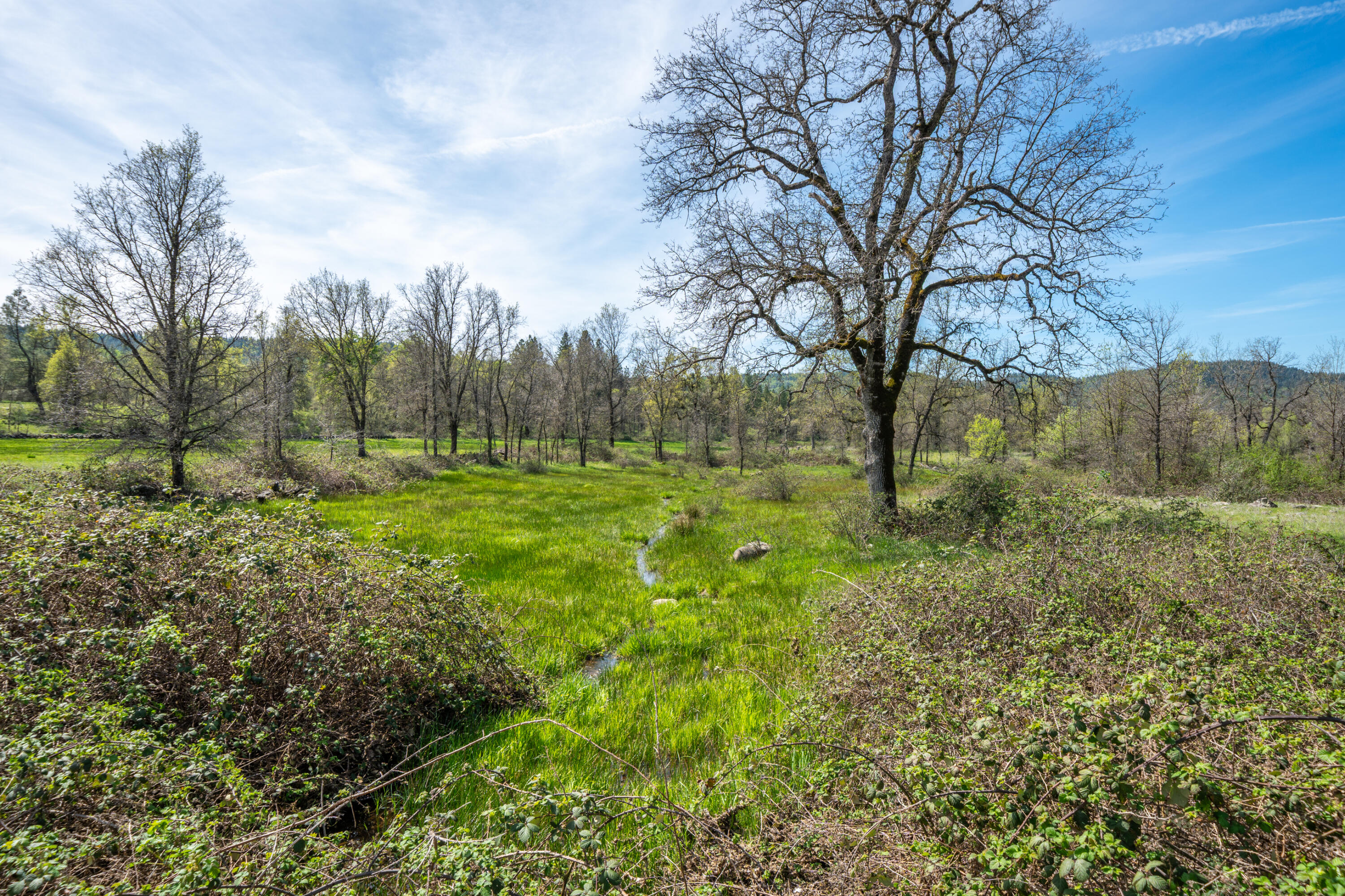 main property photo 88
