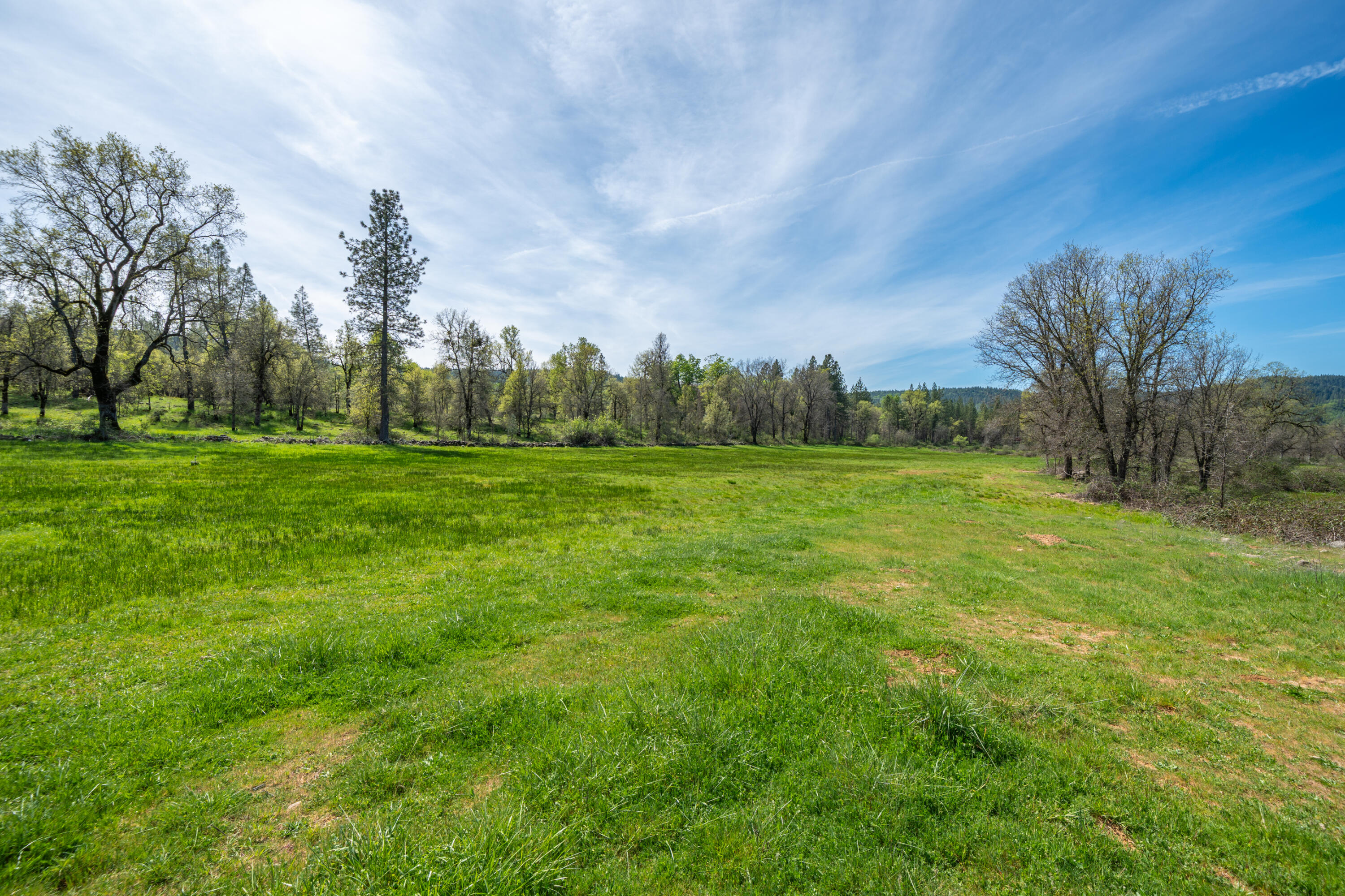 main property photo 89