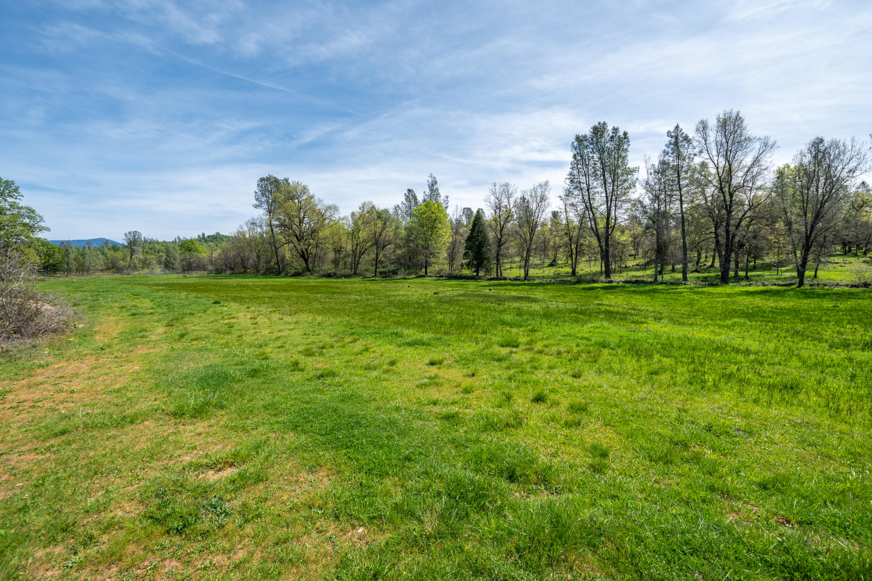 main property photo 90