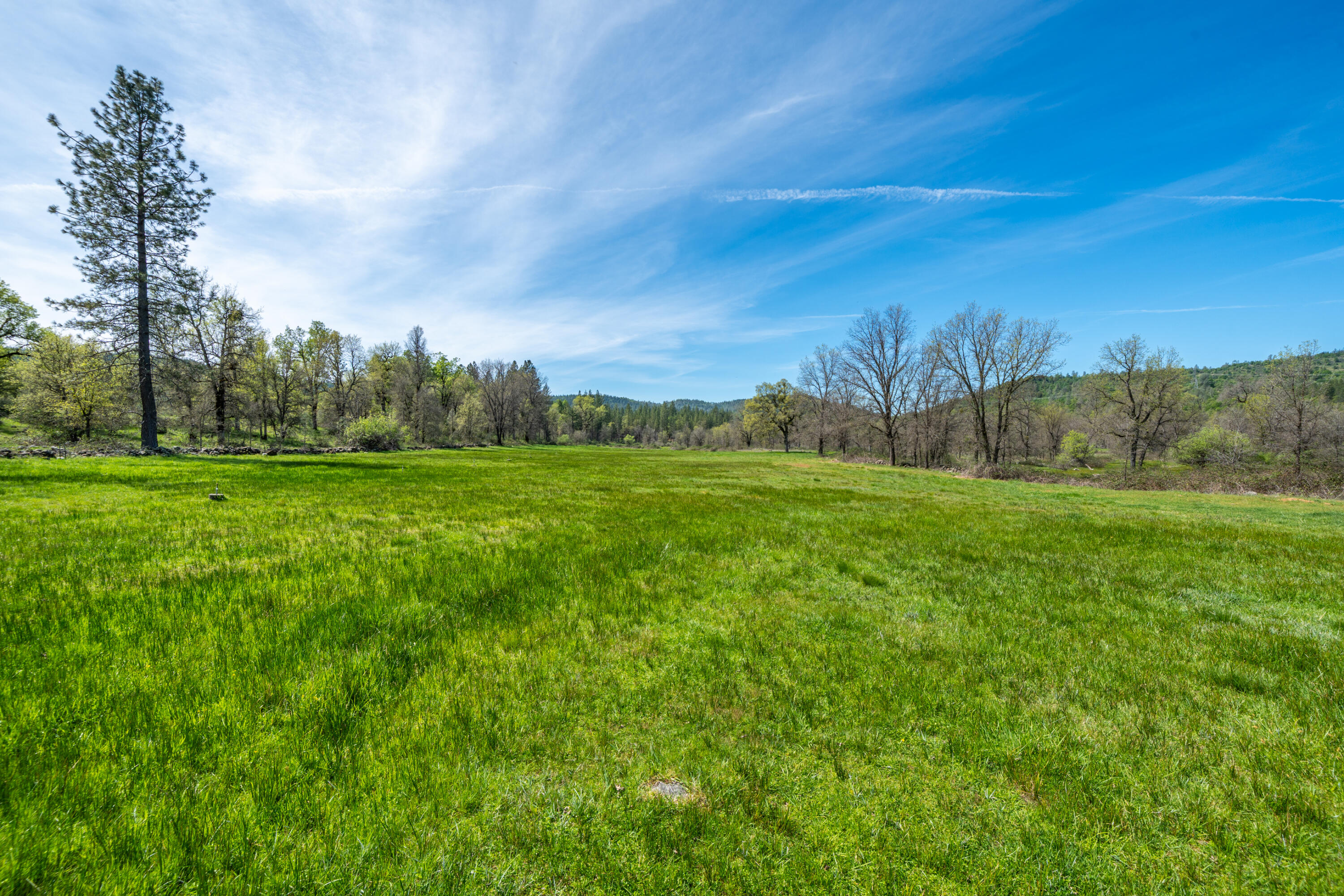 main property photo 91