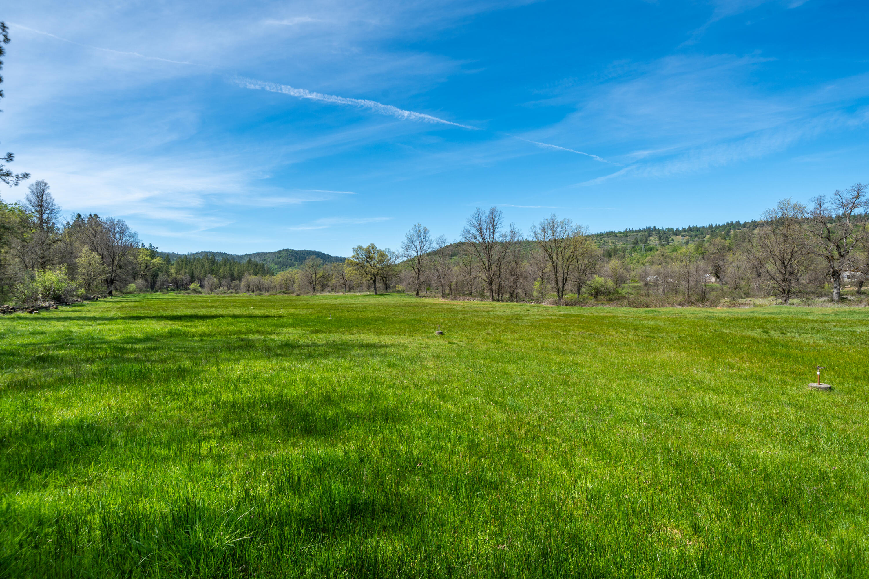 main property photo 92