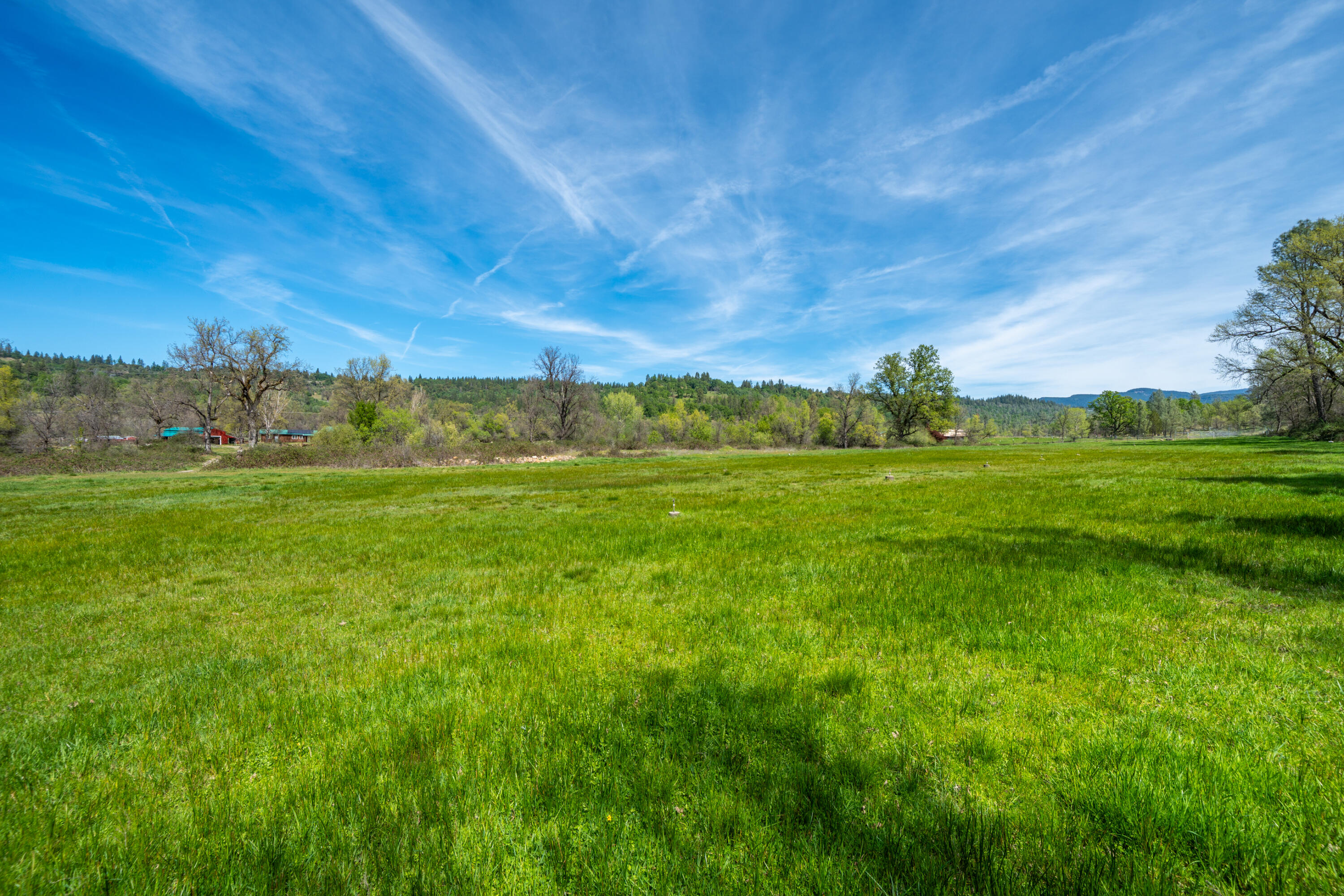 main property photo 93