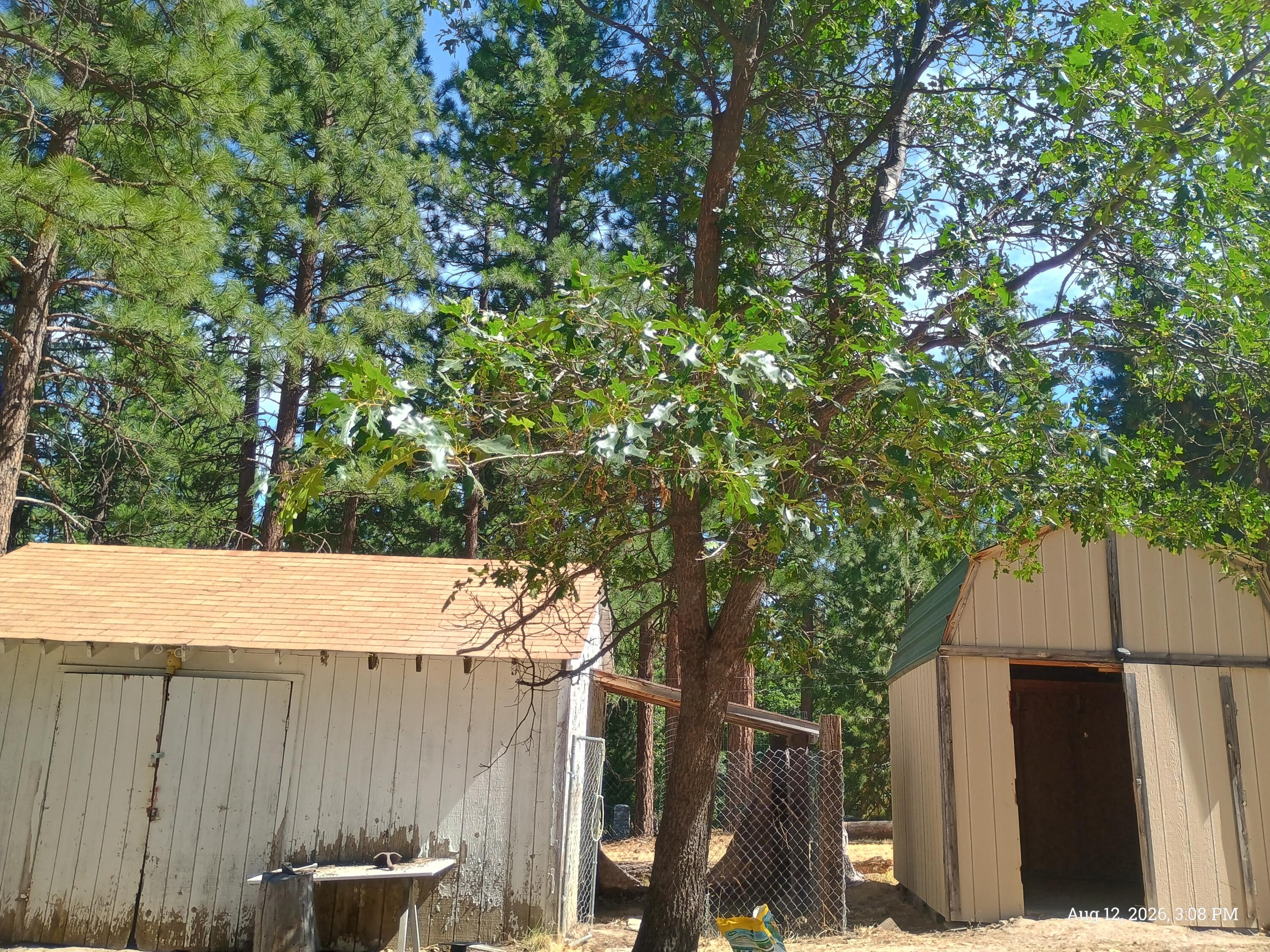 main property photo 7