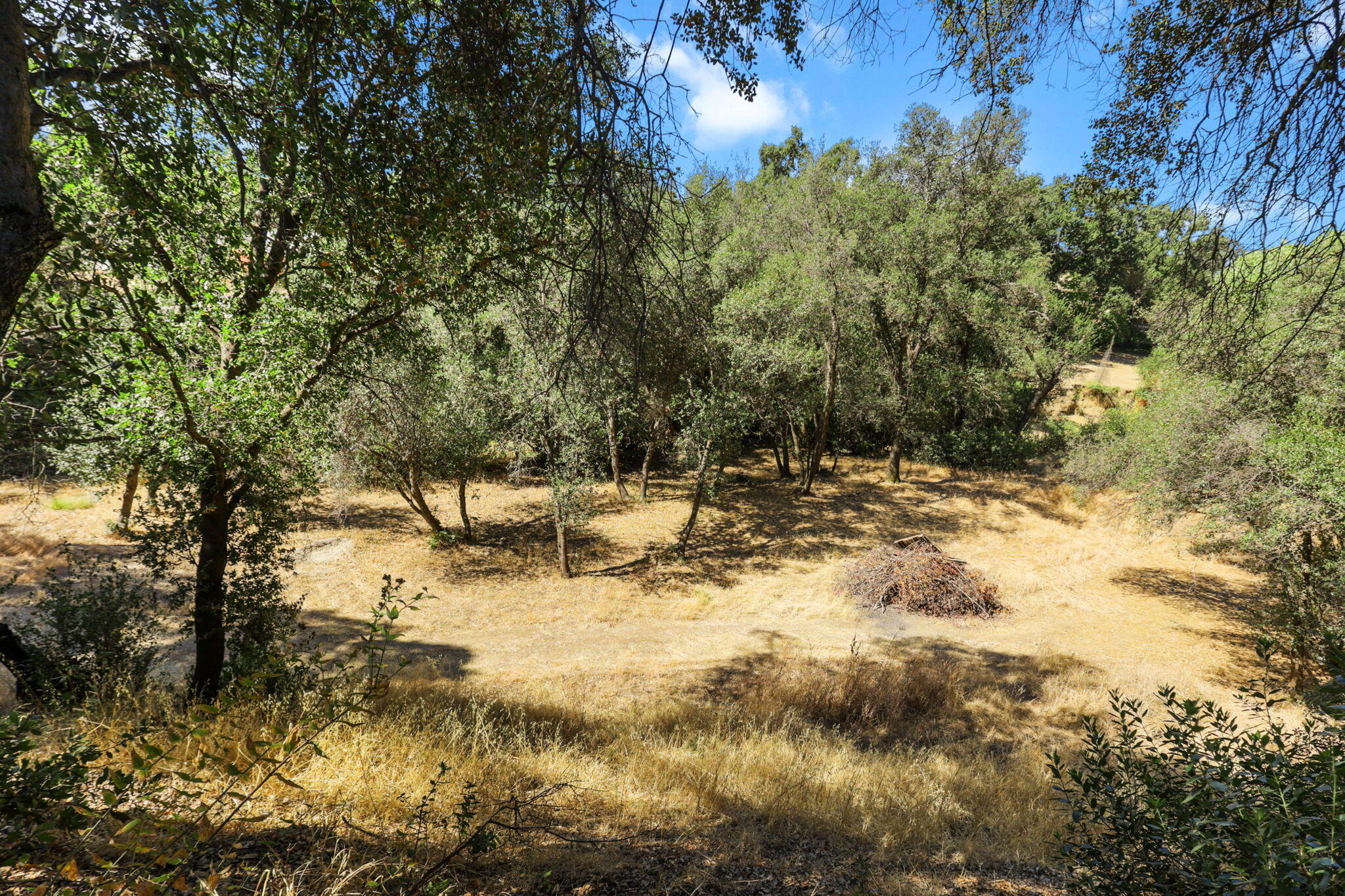 main property photo 105