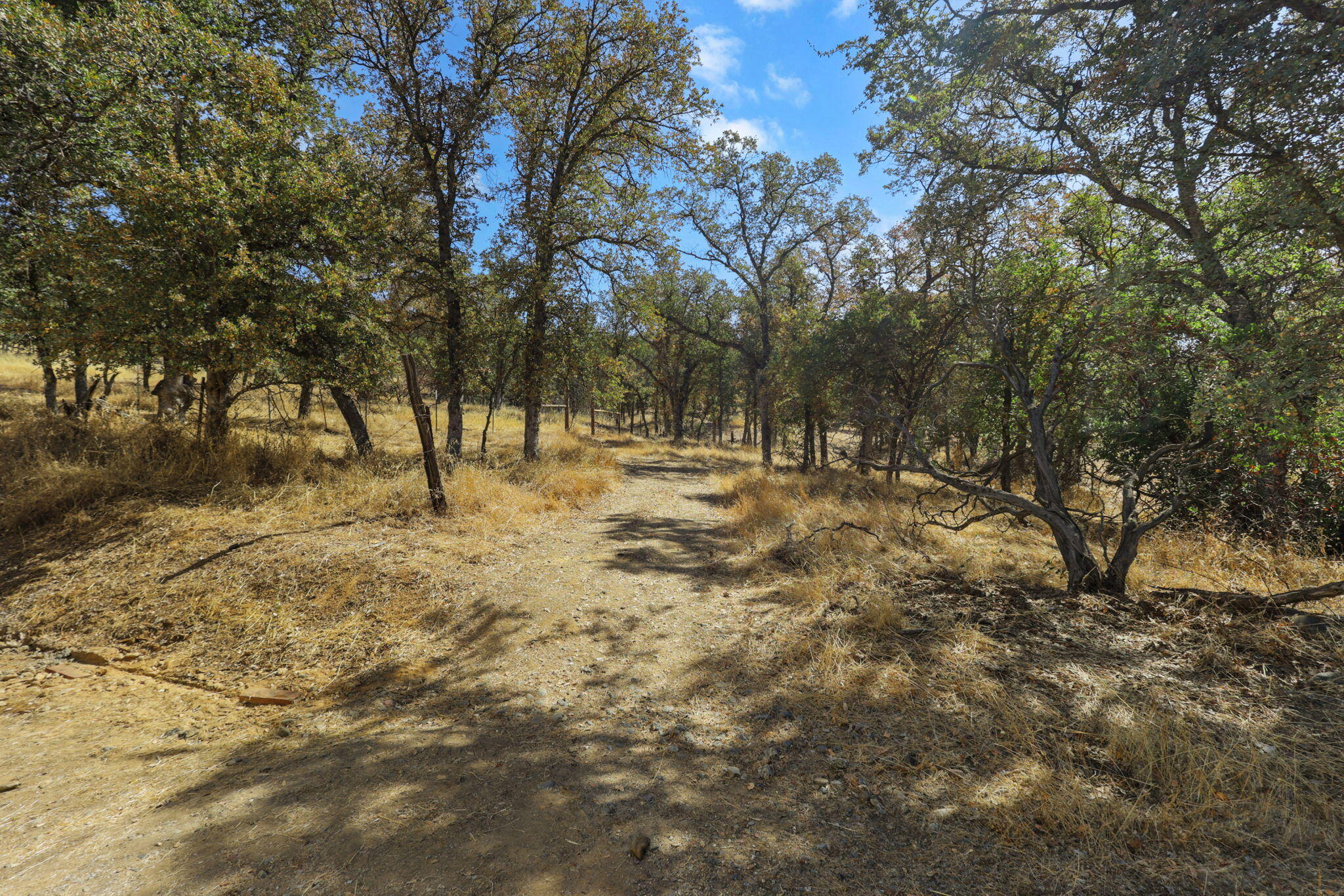 main property photo 106