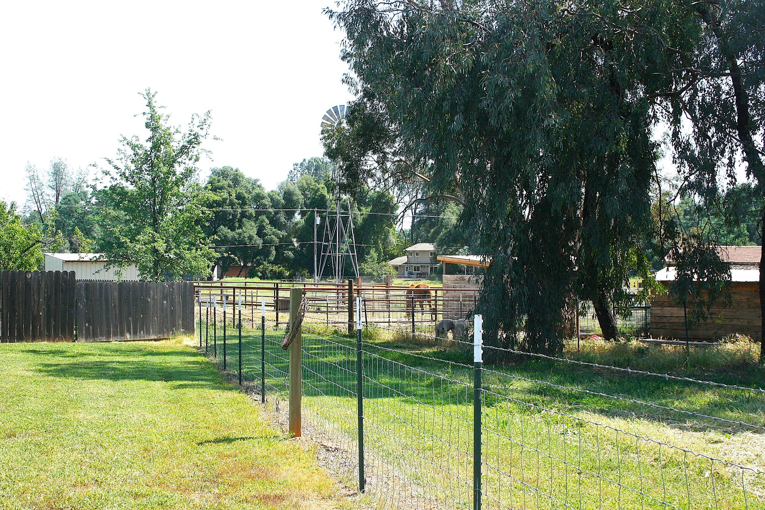 main property photo 54