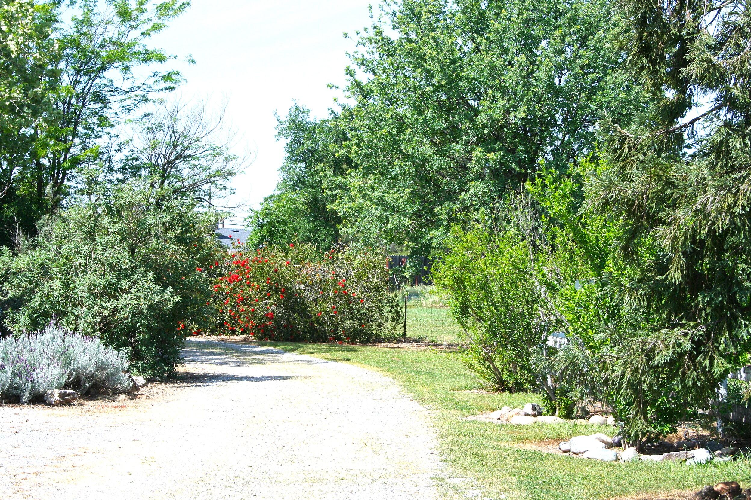 main property photo 59