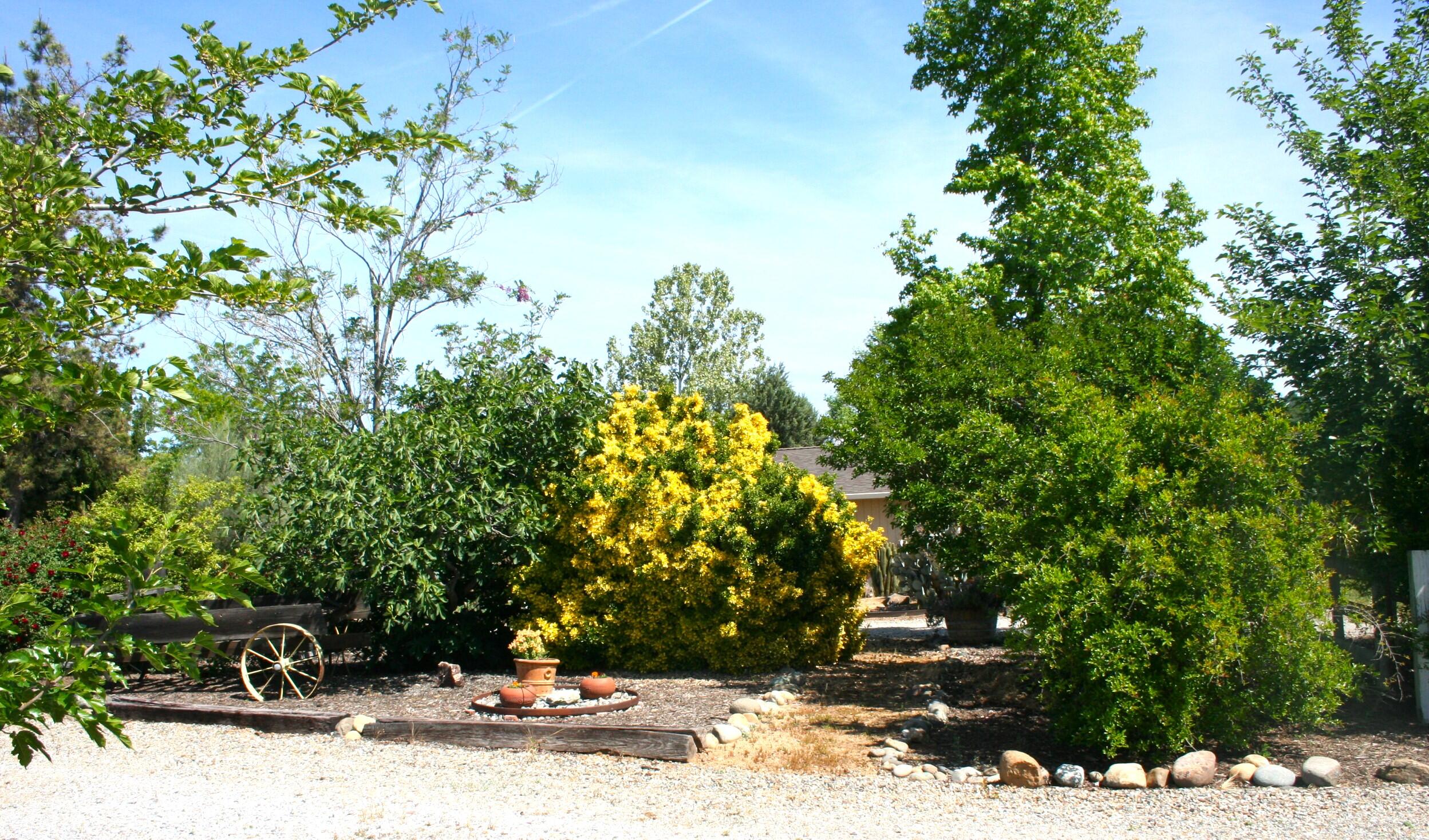 main property photo 62