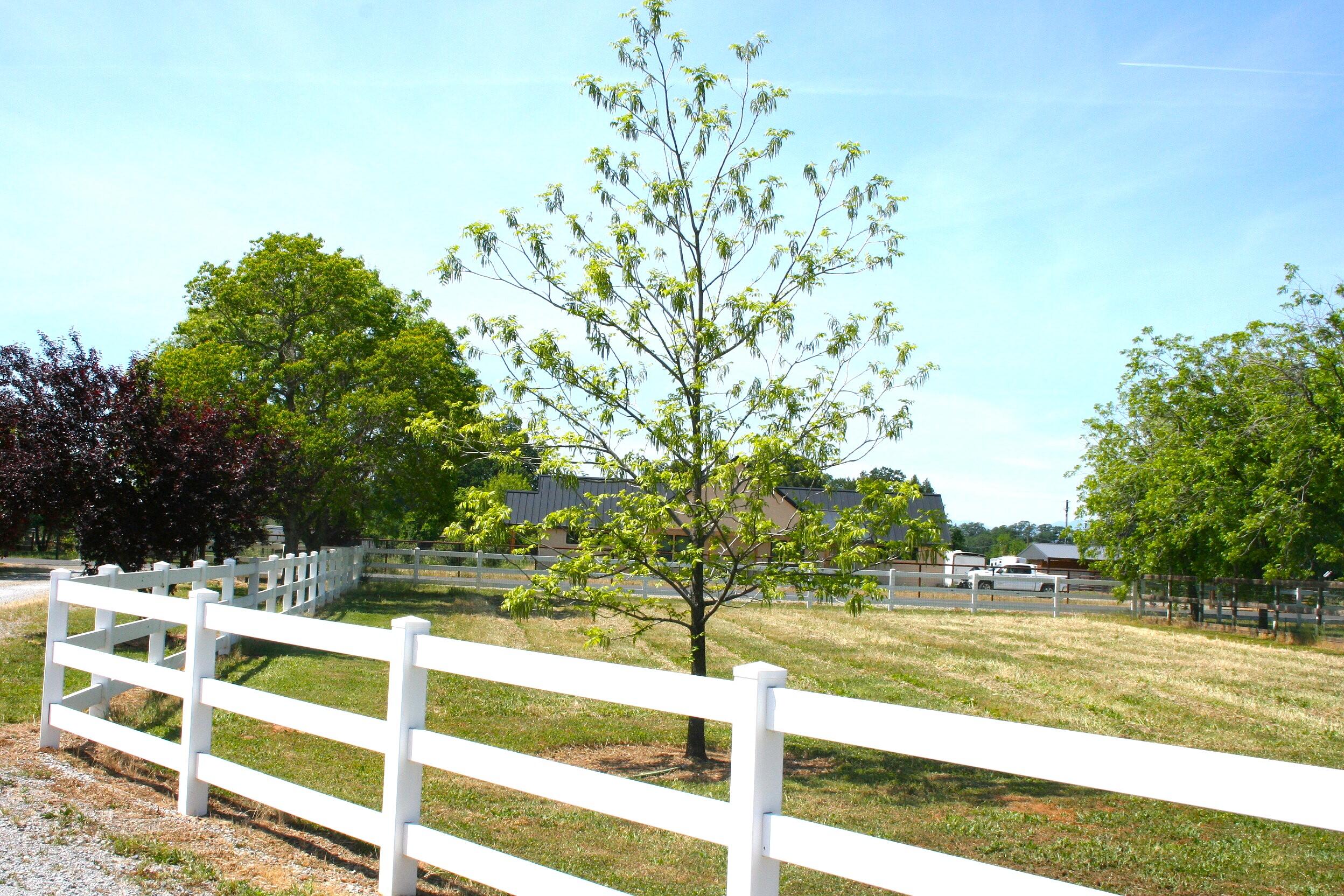 main property photo 63