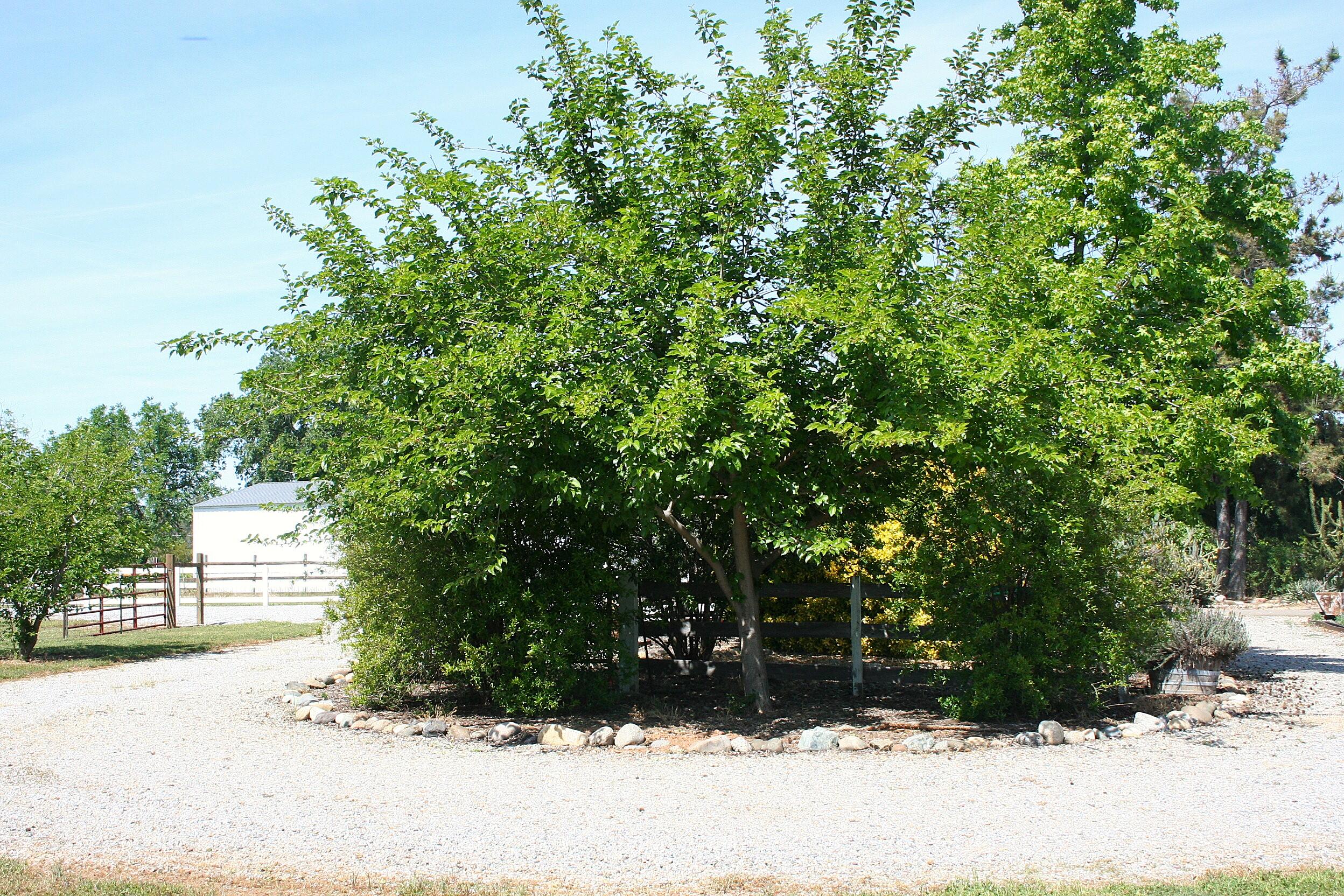 main property photo 64