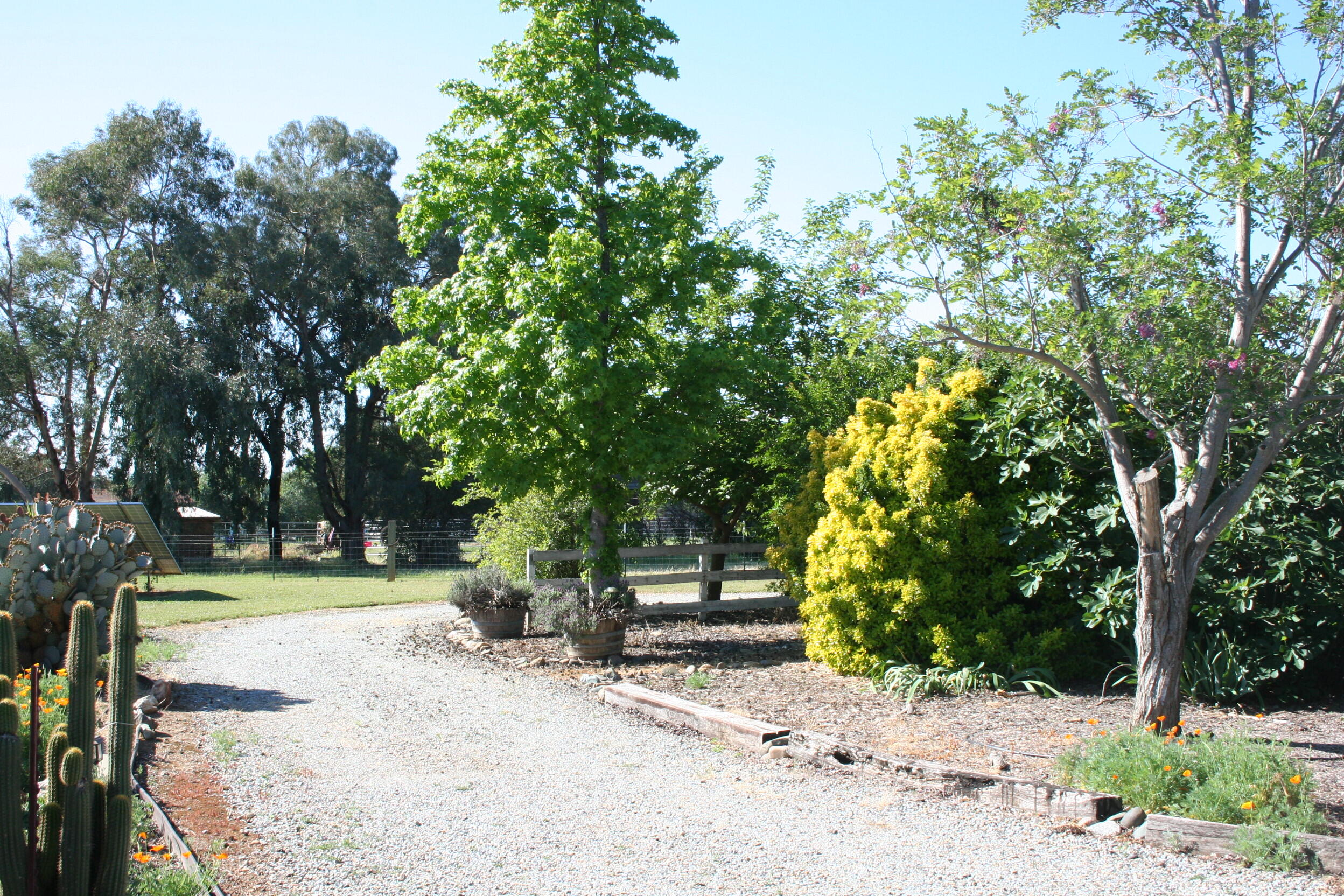 main property photo 65
