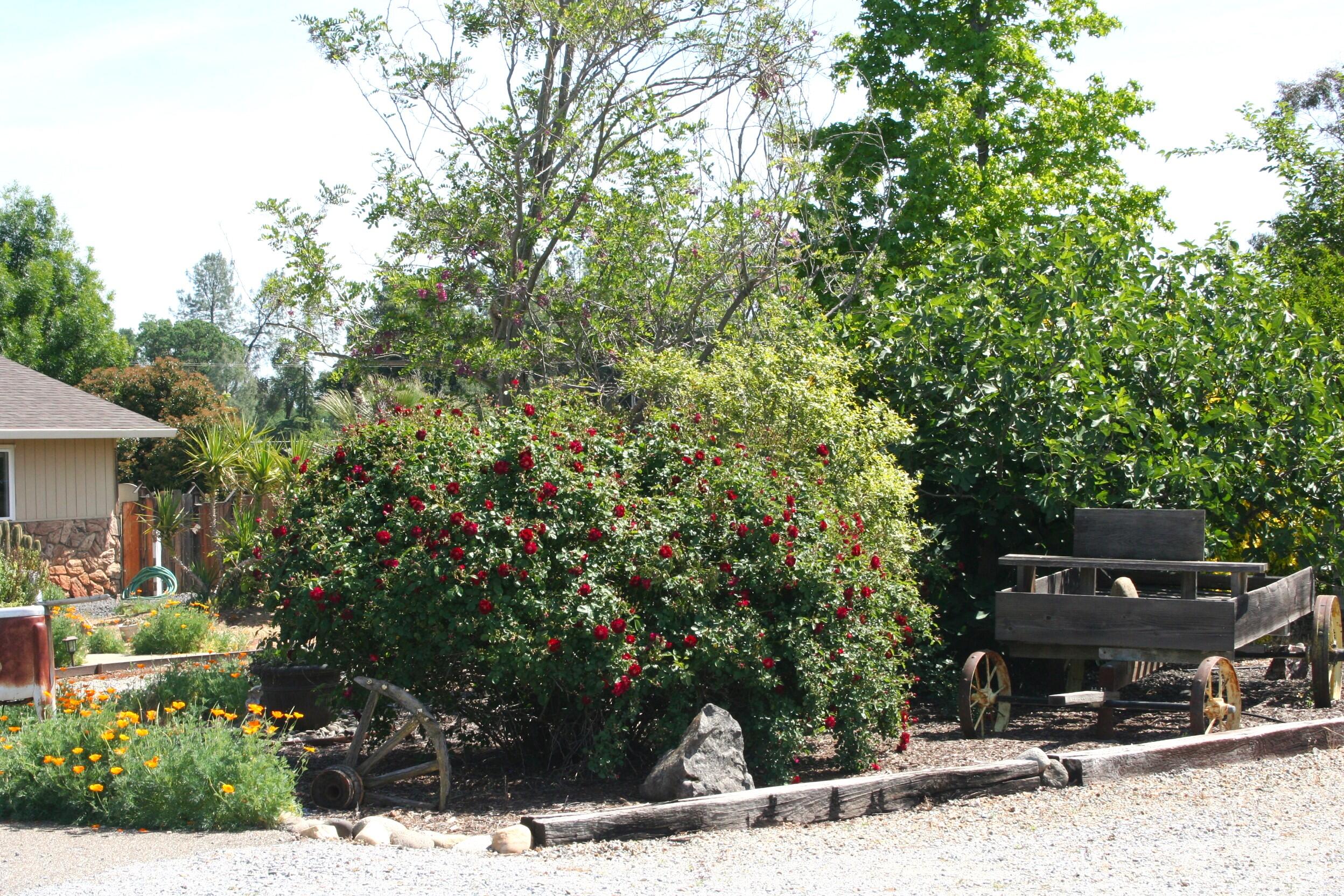 main property photo 68