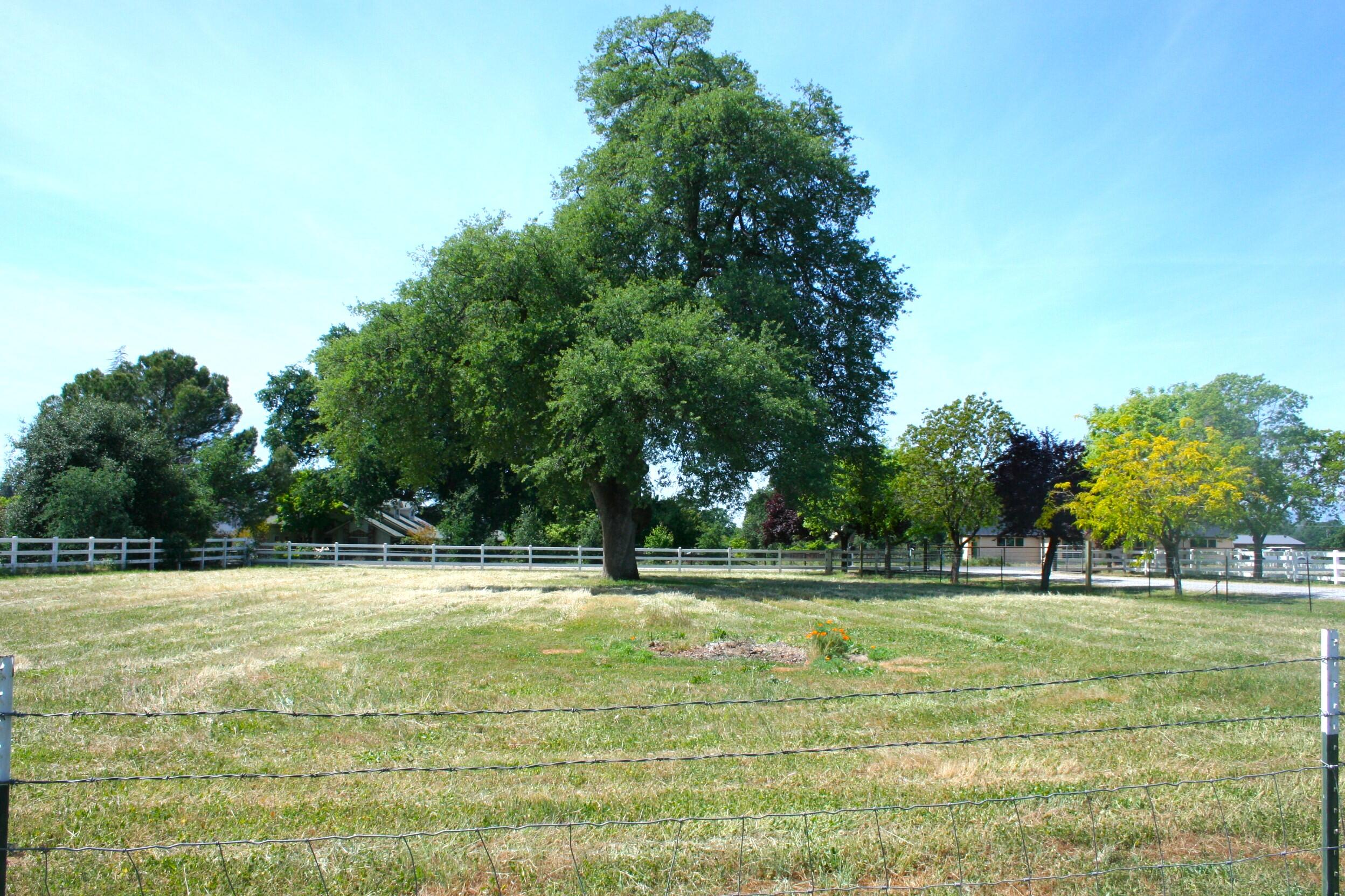 main property photo 69