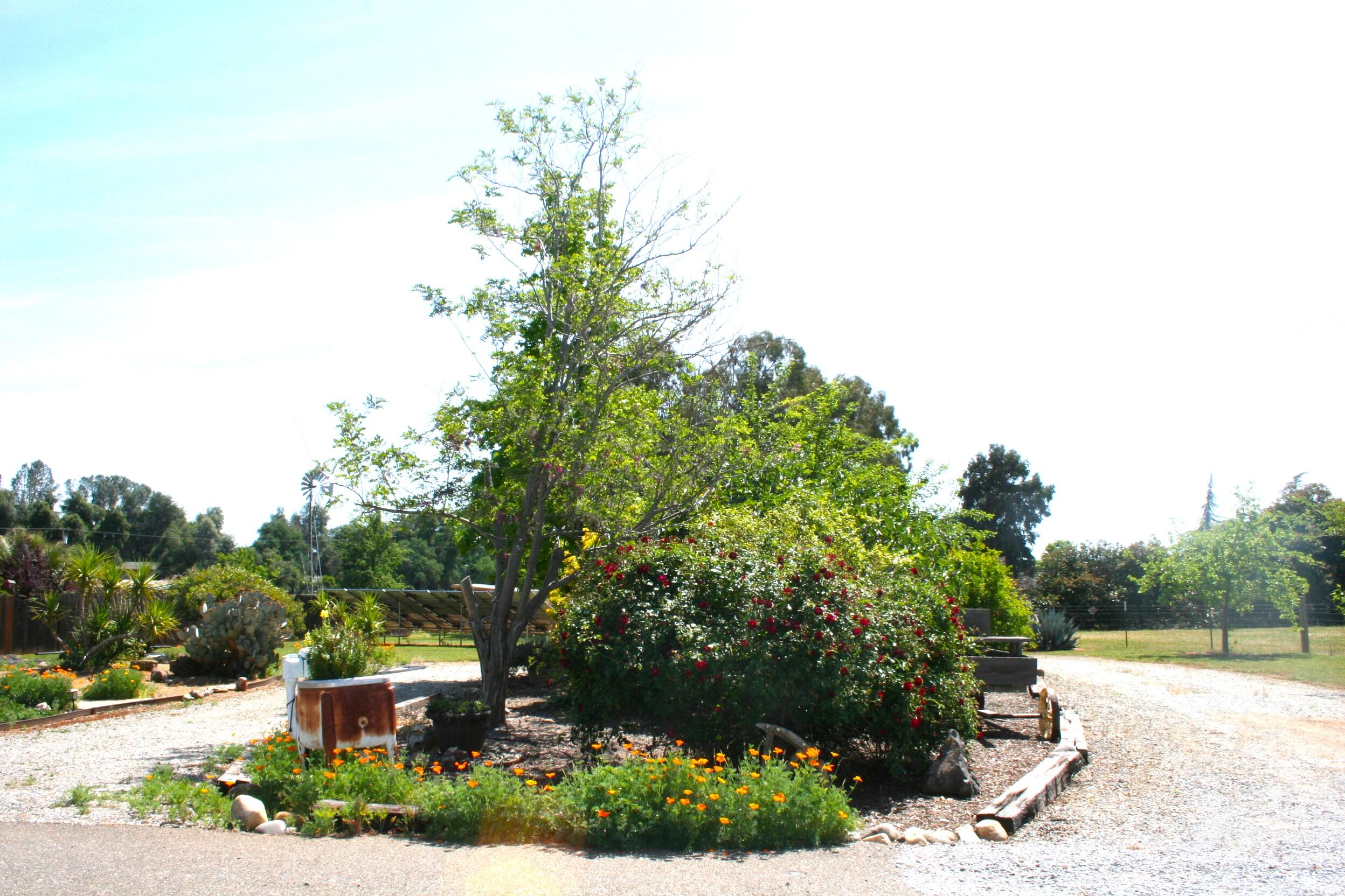 main property photo 70