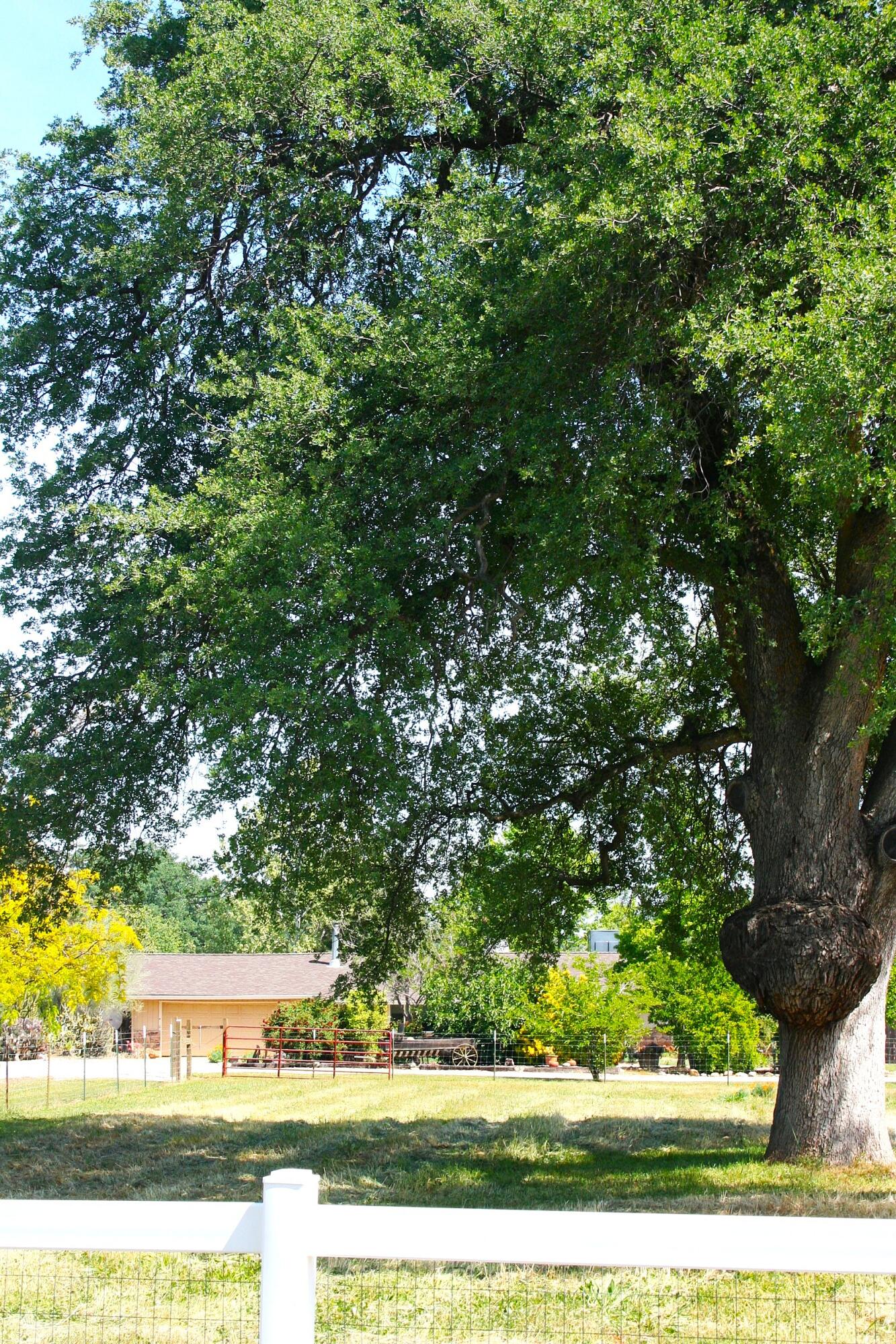 main property photo 71