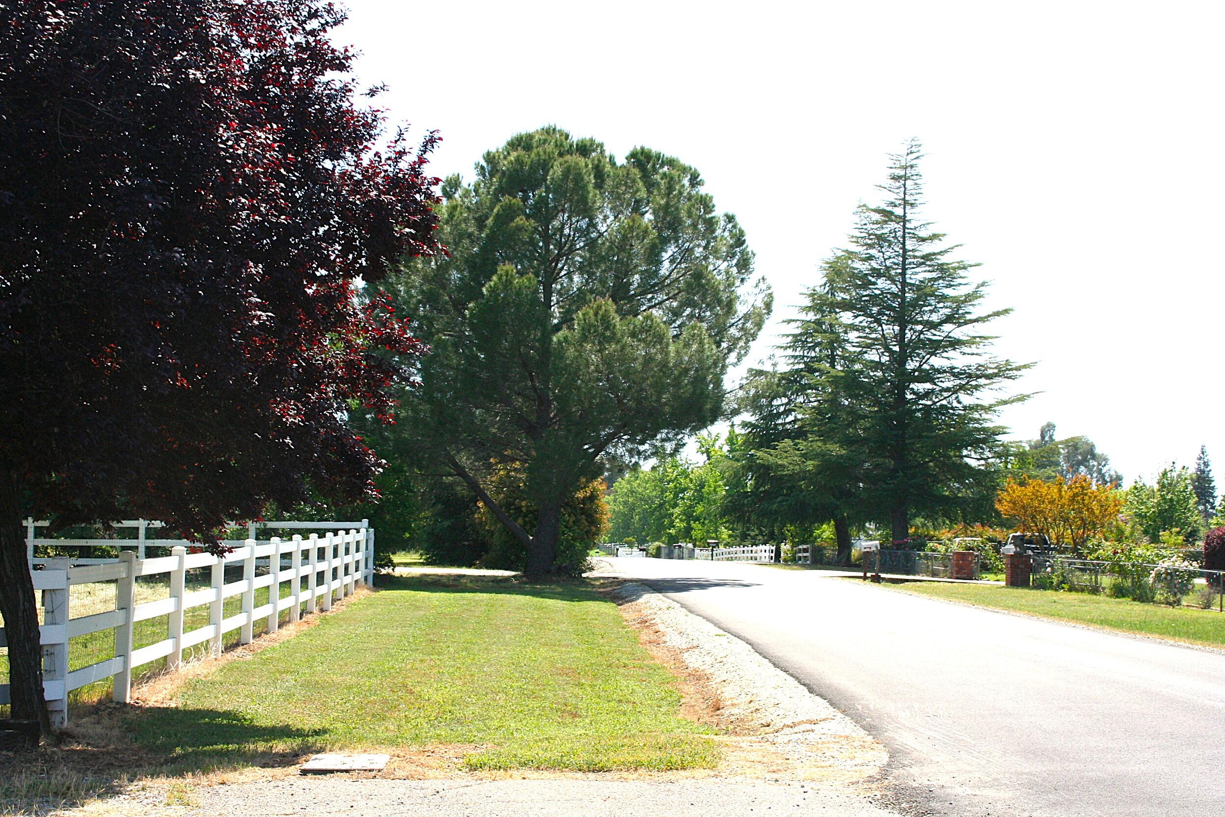 main property photo 72