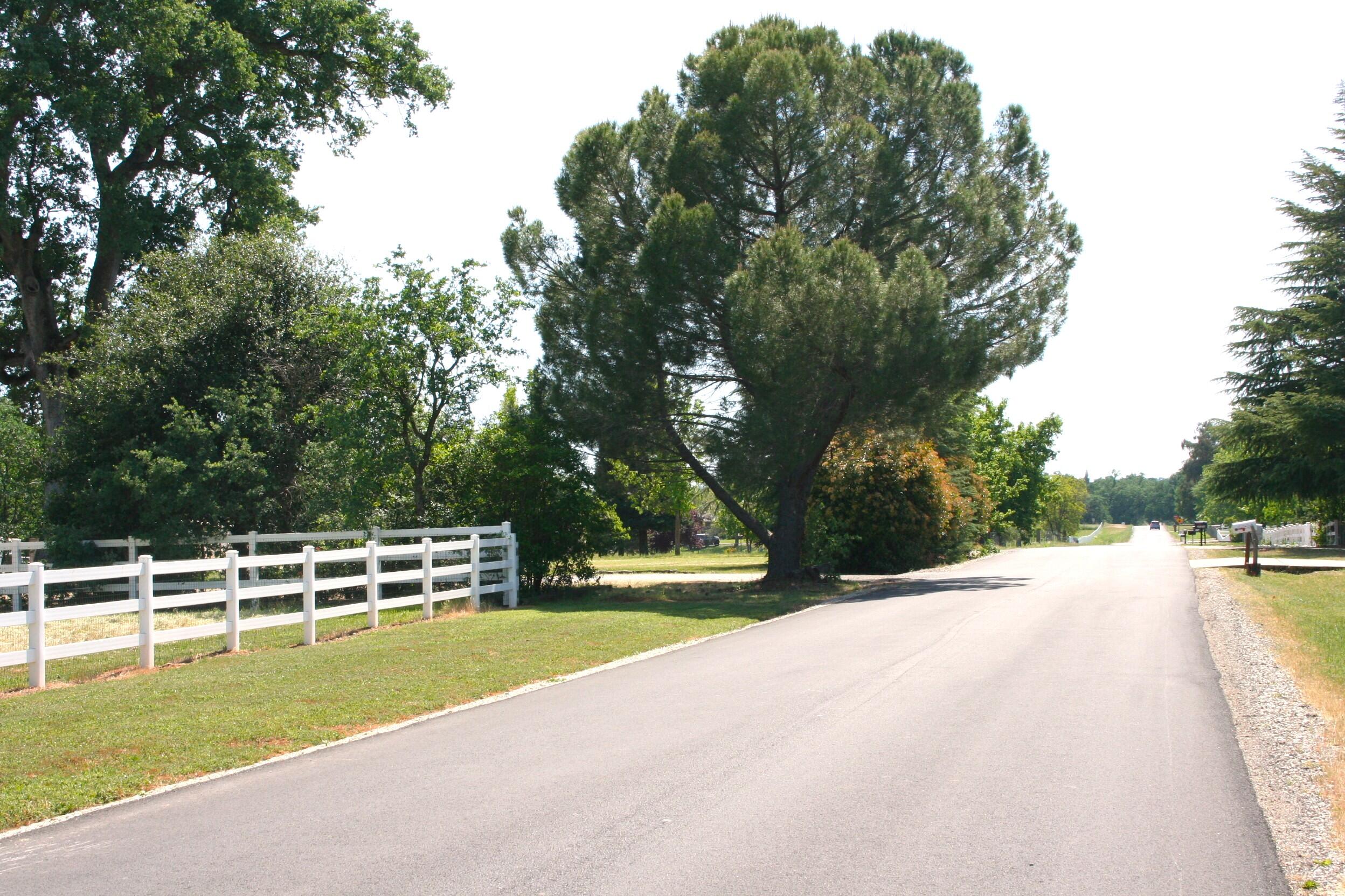 main property photo 73
